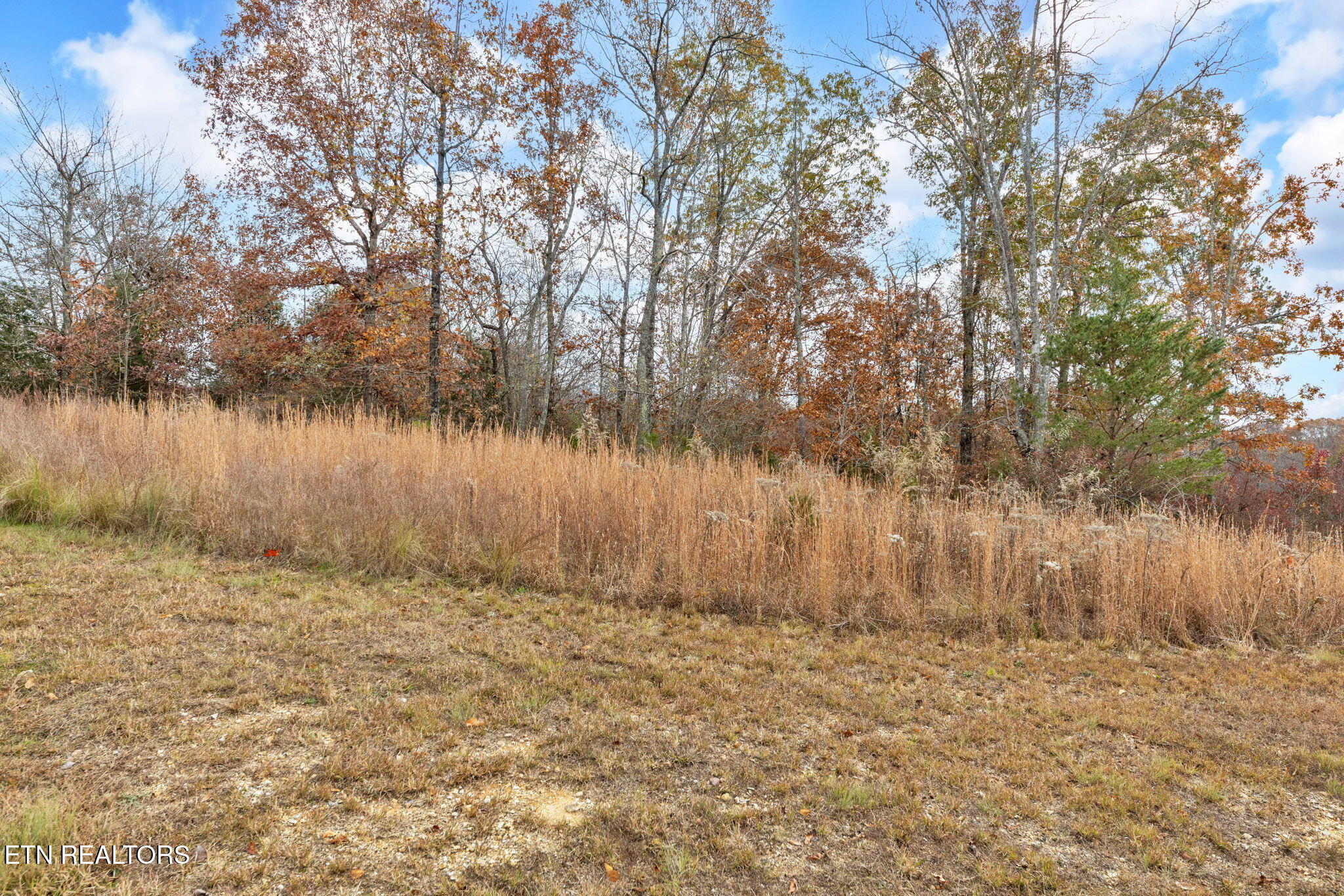 Emerald Pointe Circle Rockwood TN 37854