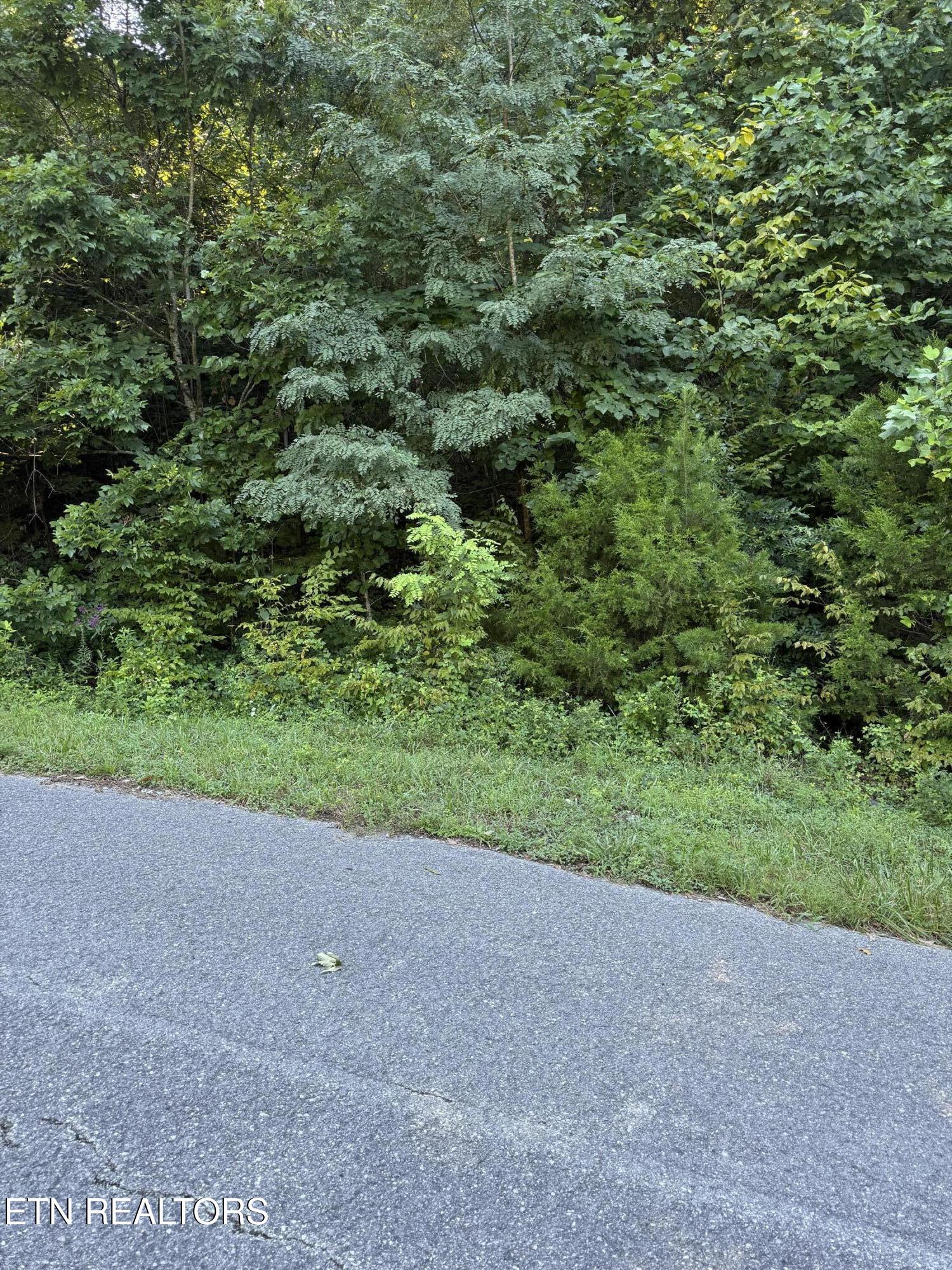 Larayne Hollow Road Sharps Chapel TN 37866