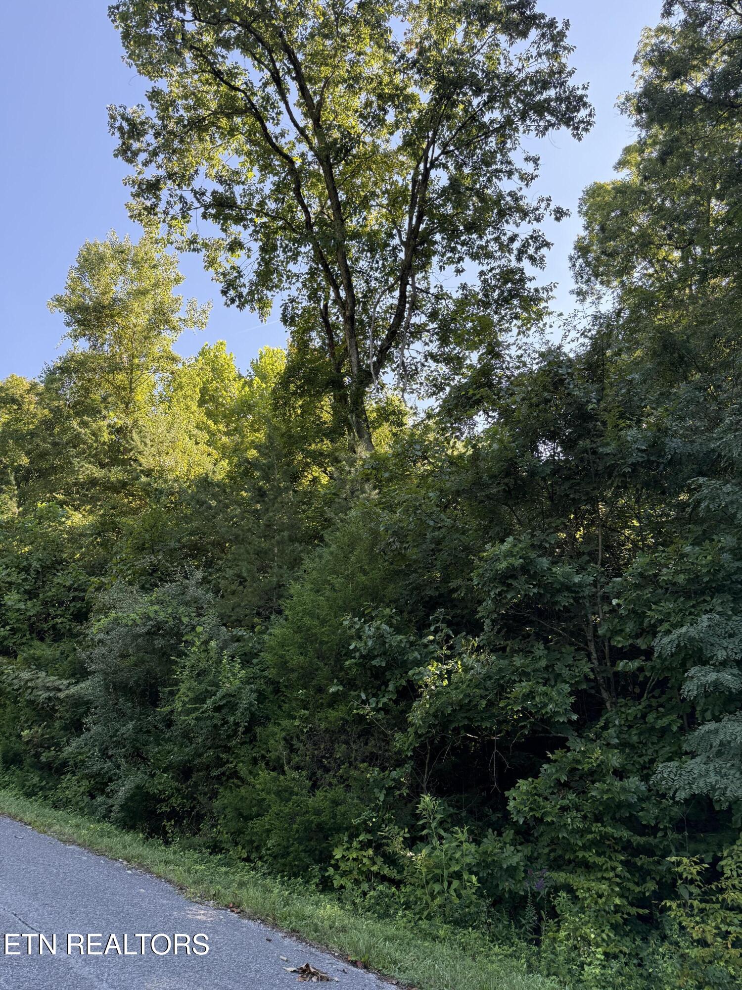 Larayne Hollow Road Sharps Chapel TN 37866