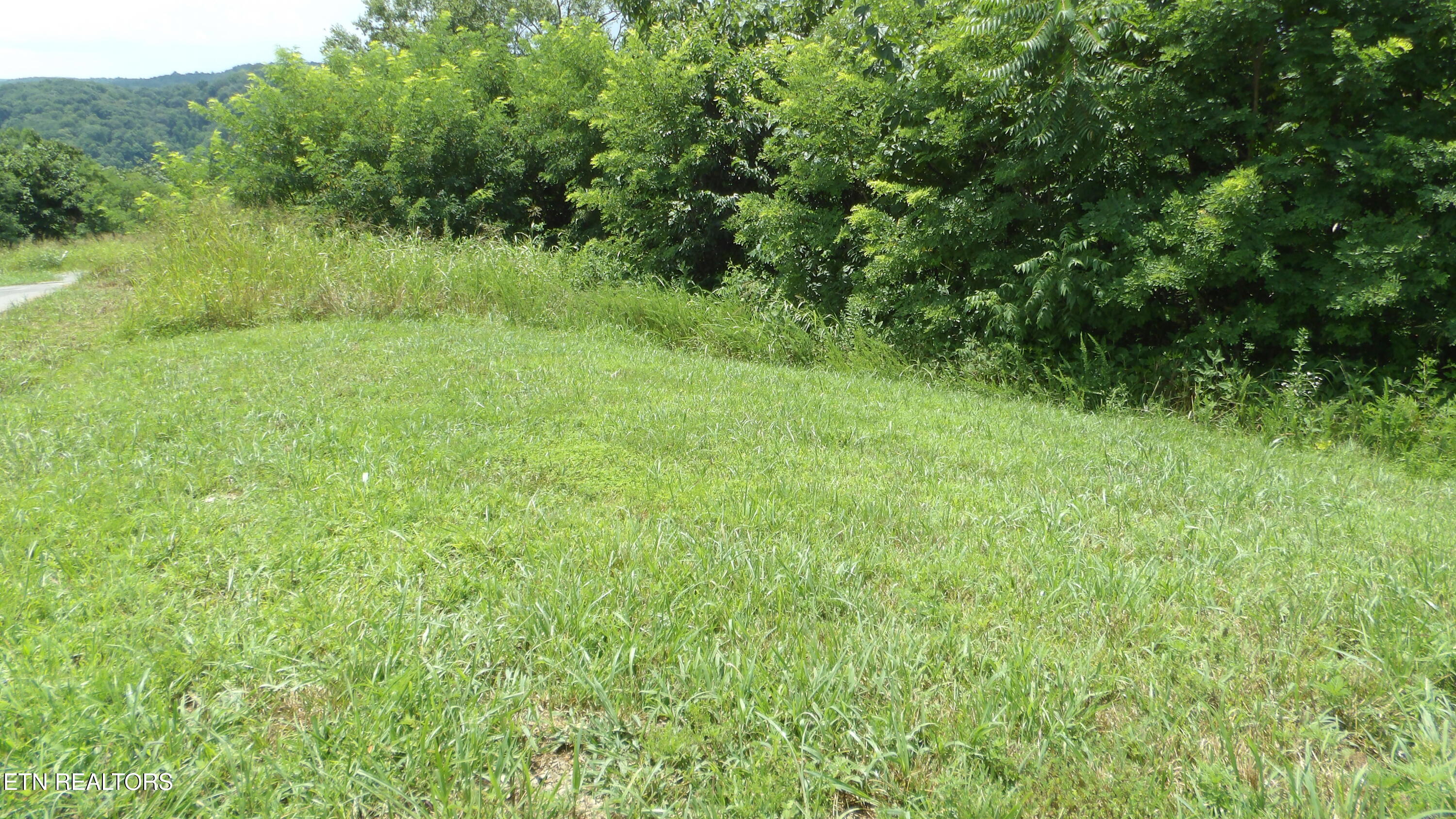 Lot 17d Crappie Lane Hilham TN 38568