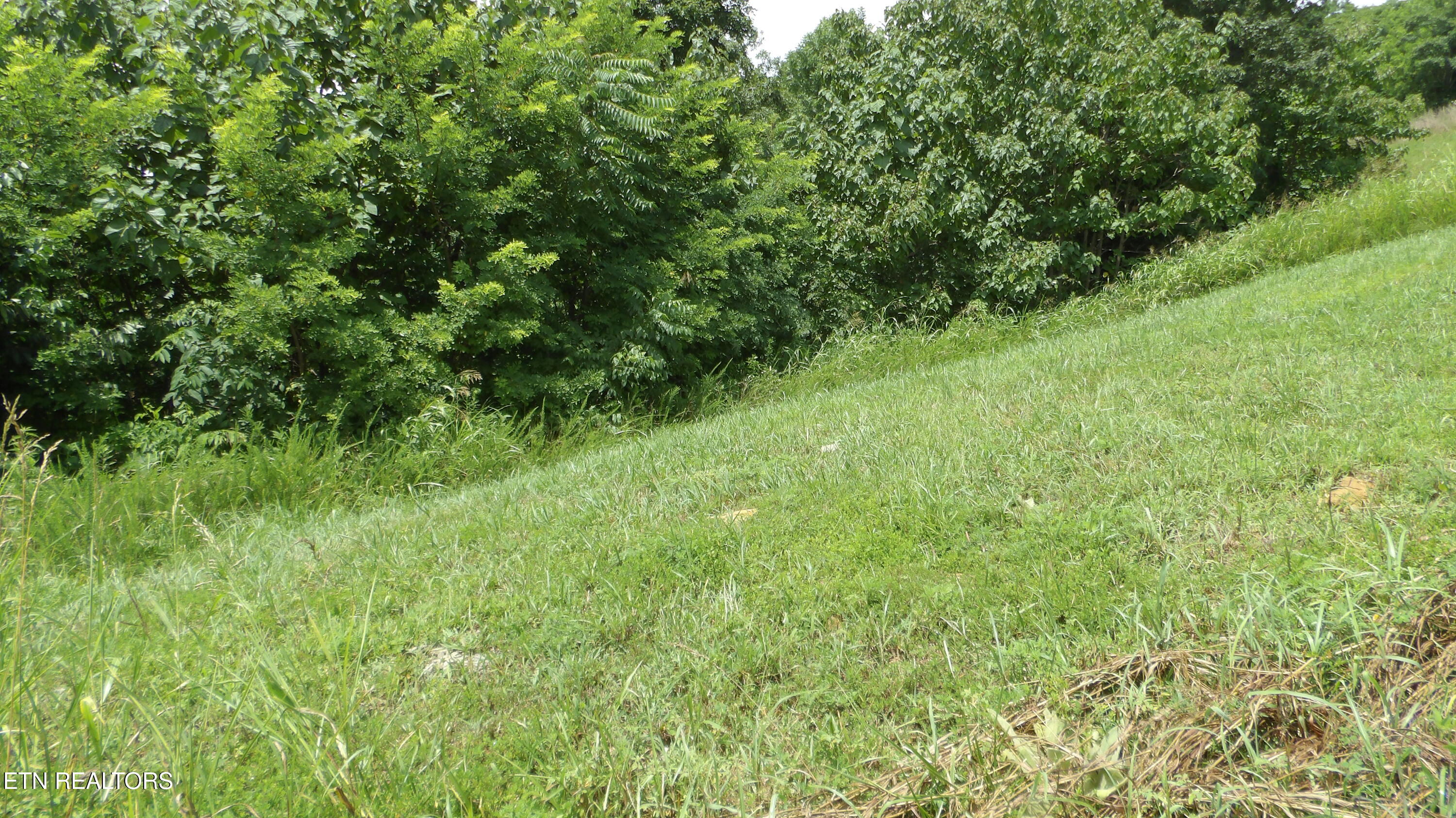 Lot 17d Crappie Lane Hilham TN 38568