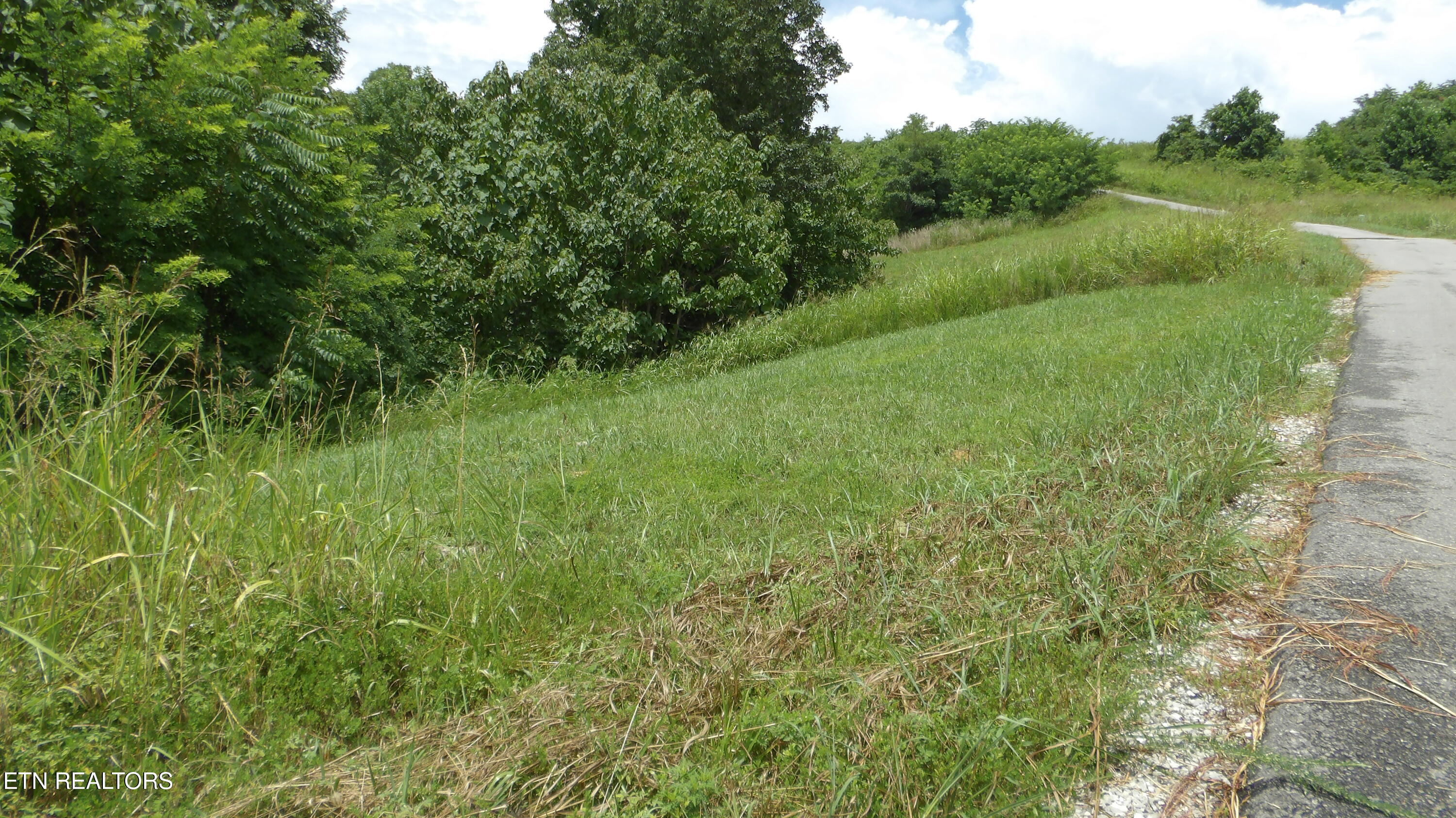 Lot 17d Crappie Lane Hilham TN 38568