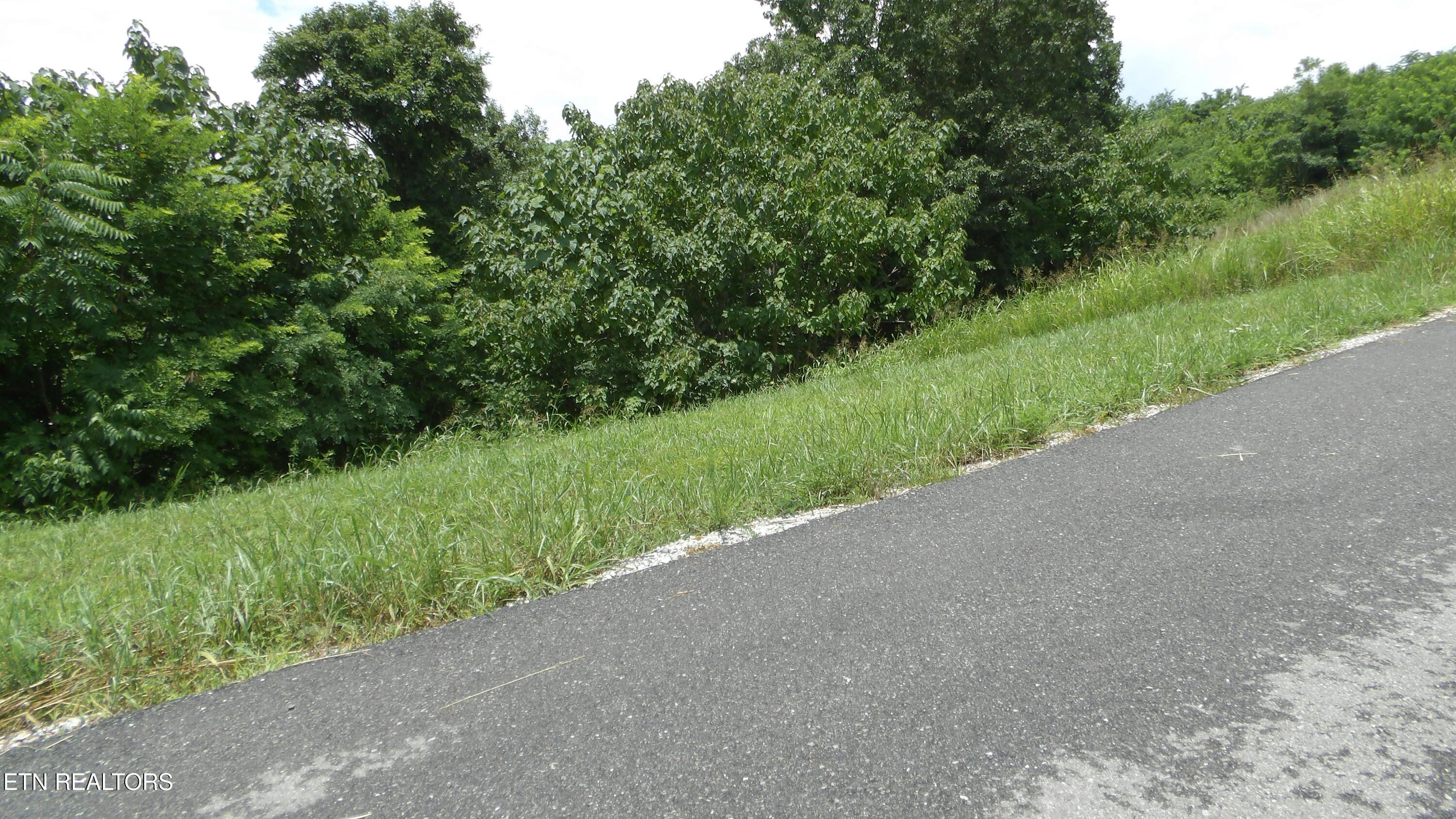Lot 17d Crappie Lane Hilham TN 38568