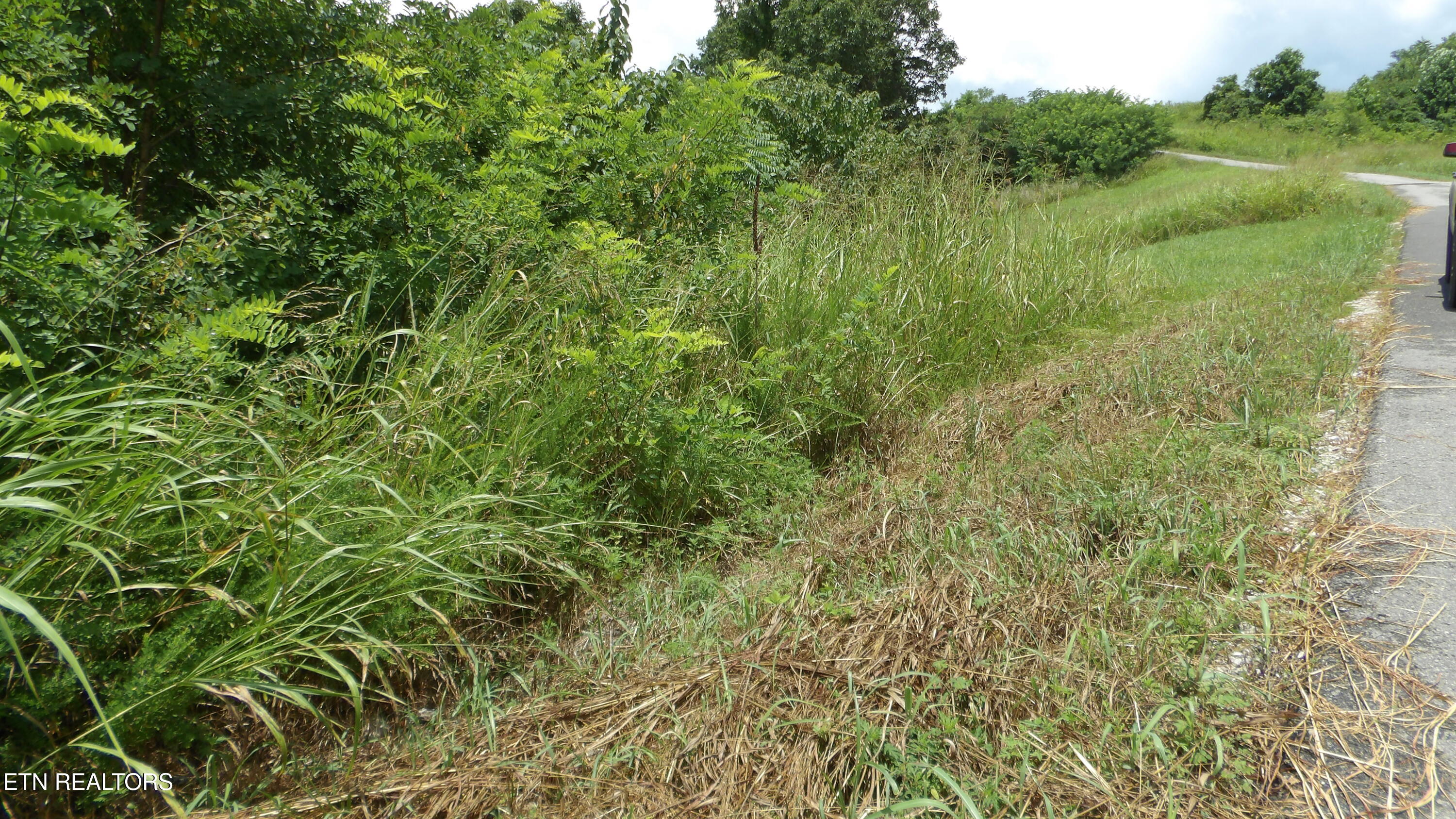 Lot 17d Crappie Lane Hilham TN 38568