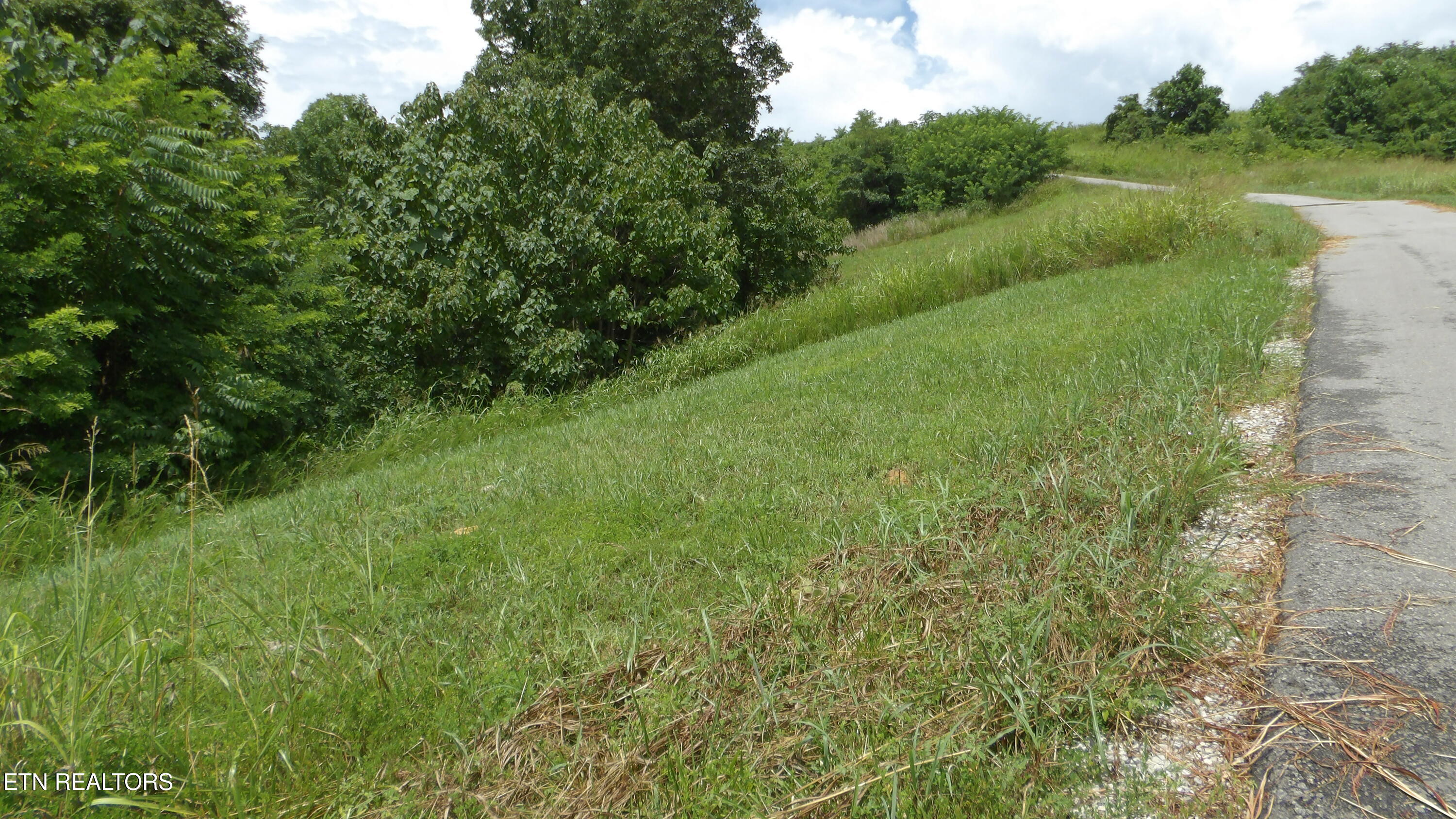 Lot 17d Crappie Lane Hilham TN 38568