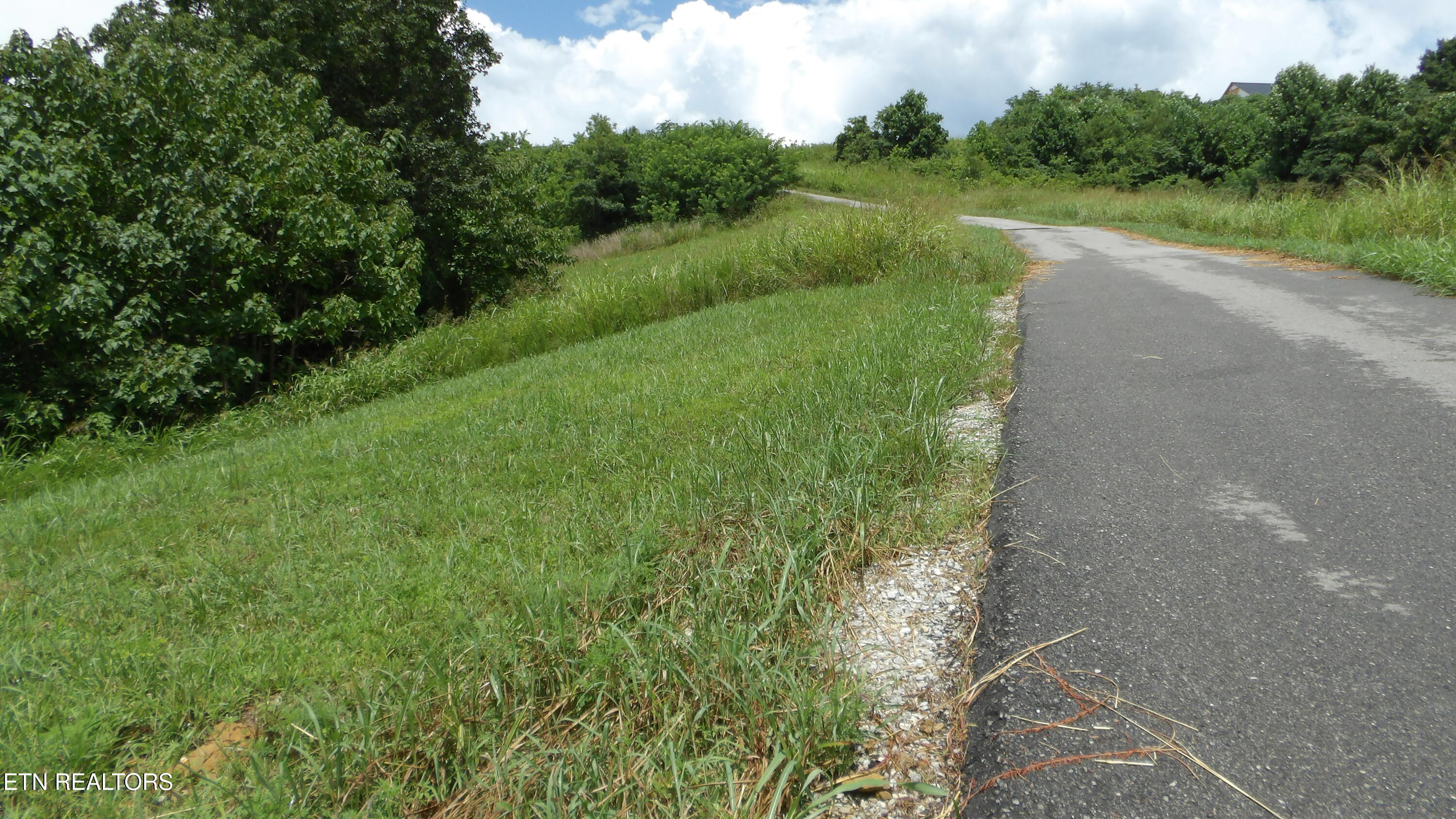 Lot 17d Crappie Lane Hilham TN 38568