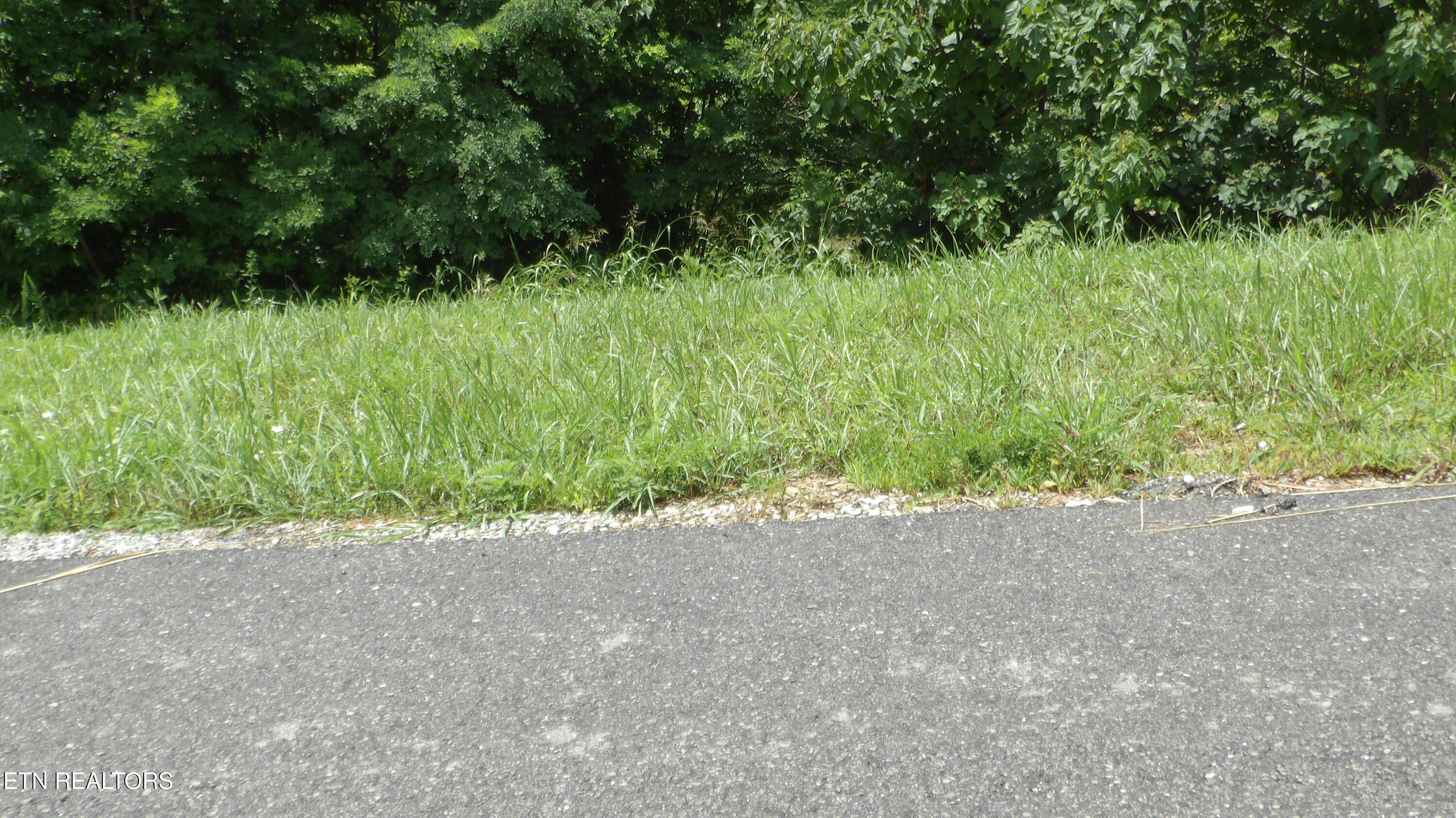Lot 17d Crappie Lane Hilham TN 38568