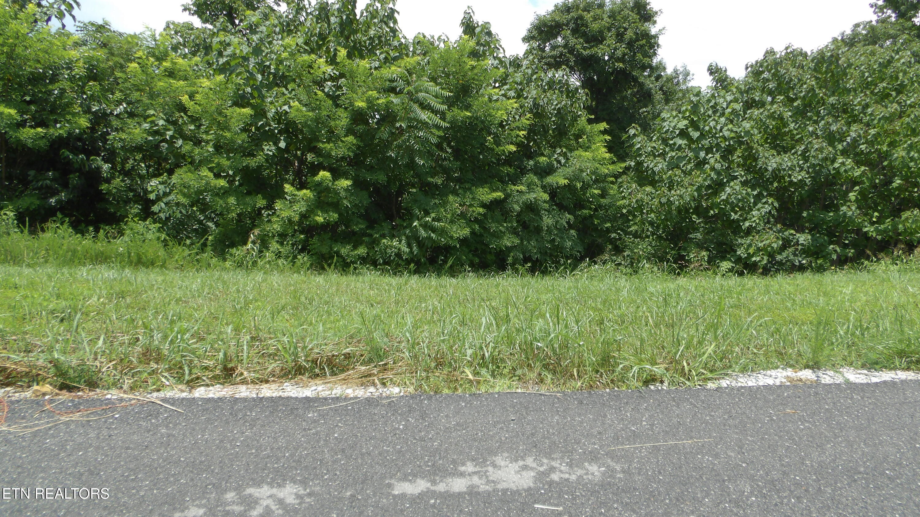Lot 17d Crappie Lane Hilham TN 38568