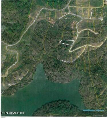 Lot 17d Crappie Lane Hilham TN 38568