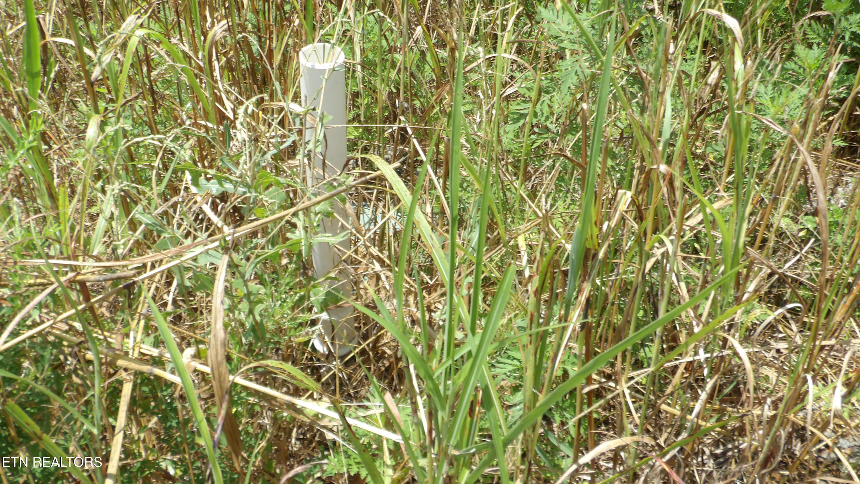 Lot 17d Crappie Lane Hilham TN 38568