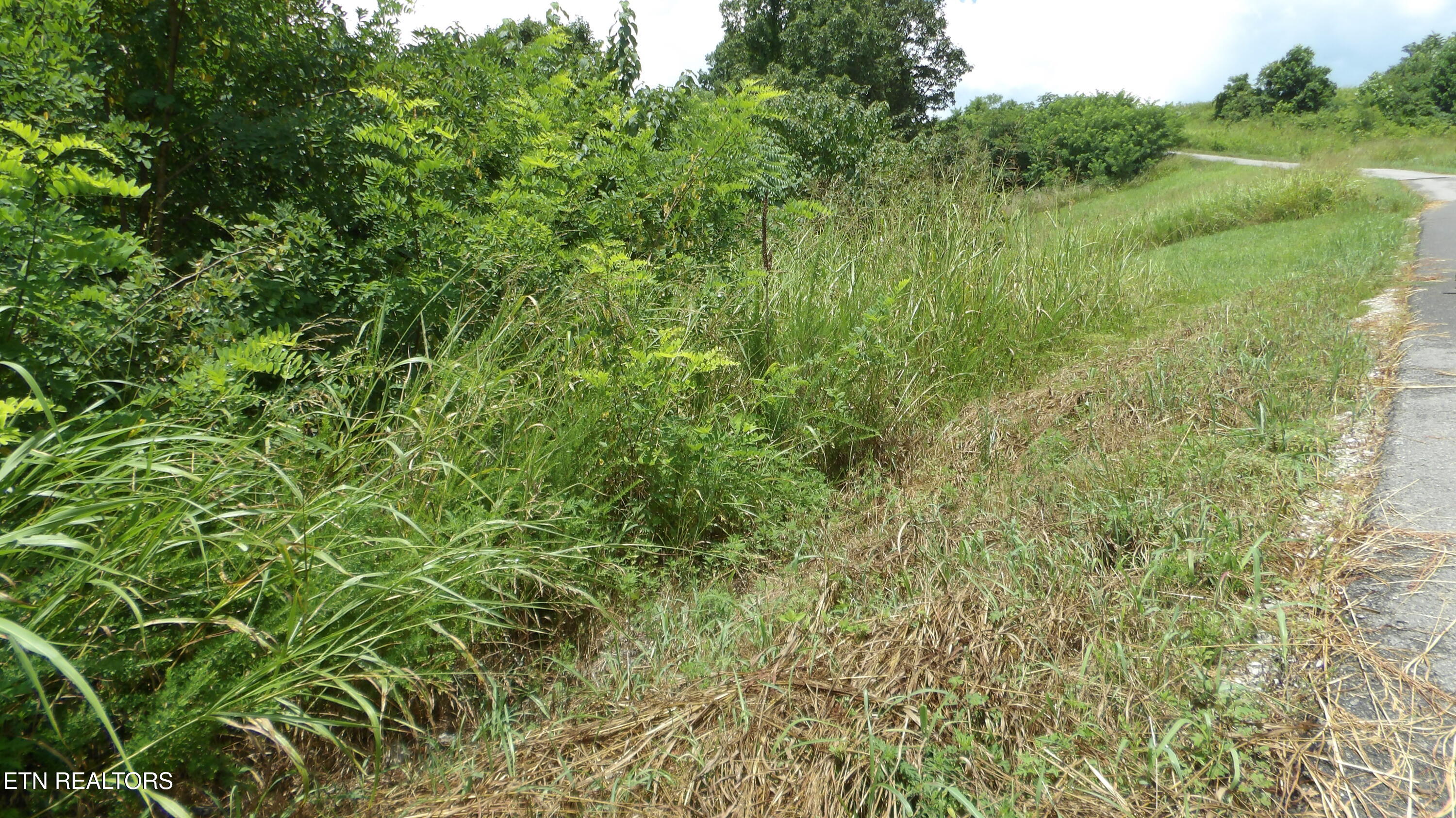 Lot 17d Crappie Lane Hilham TN 38568