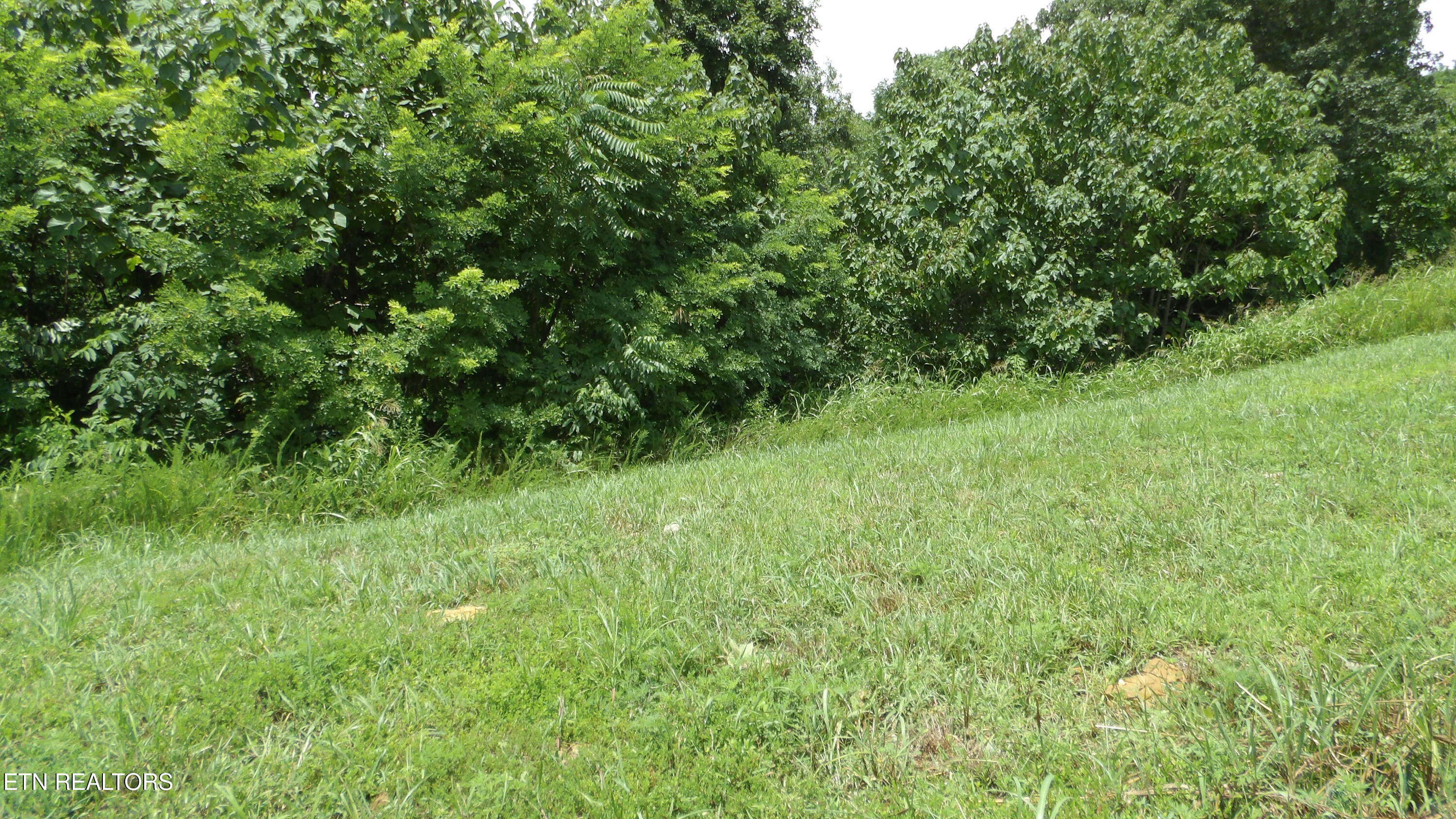 Lot 17d Crappie Lane Hilham TN 38568