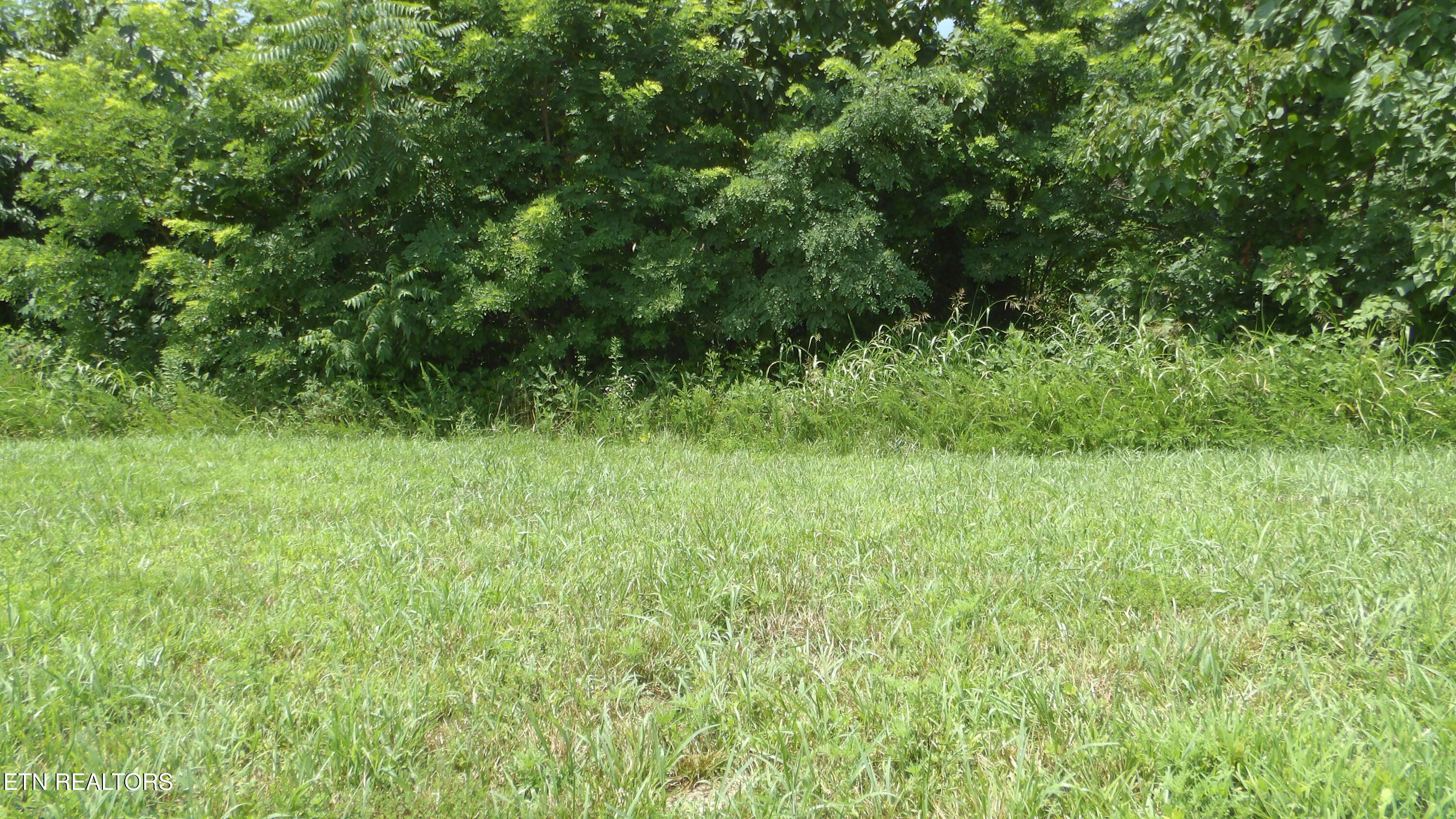 Lot 17d Crappie Lane Hilham TN 38568
