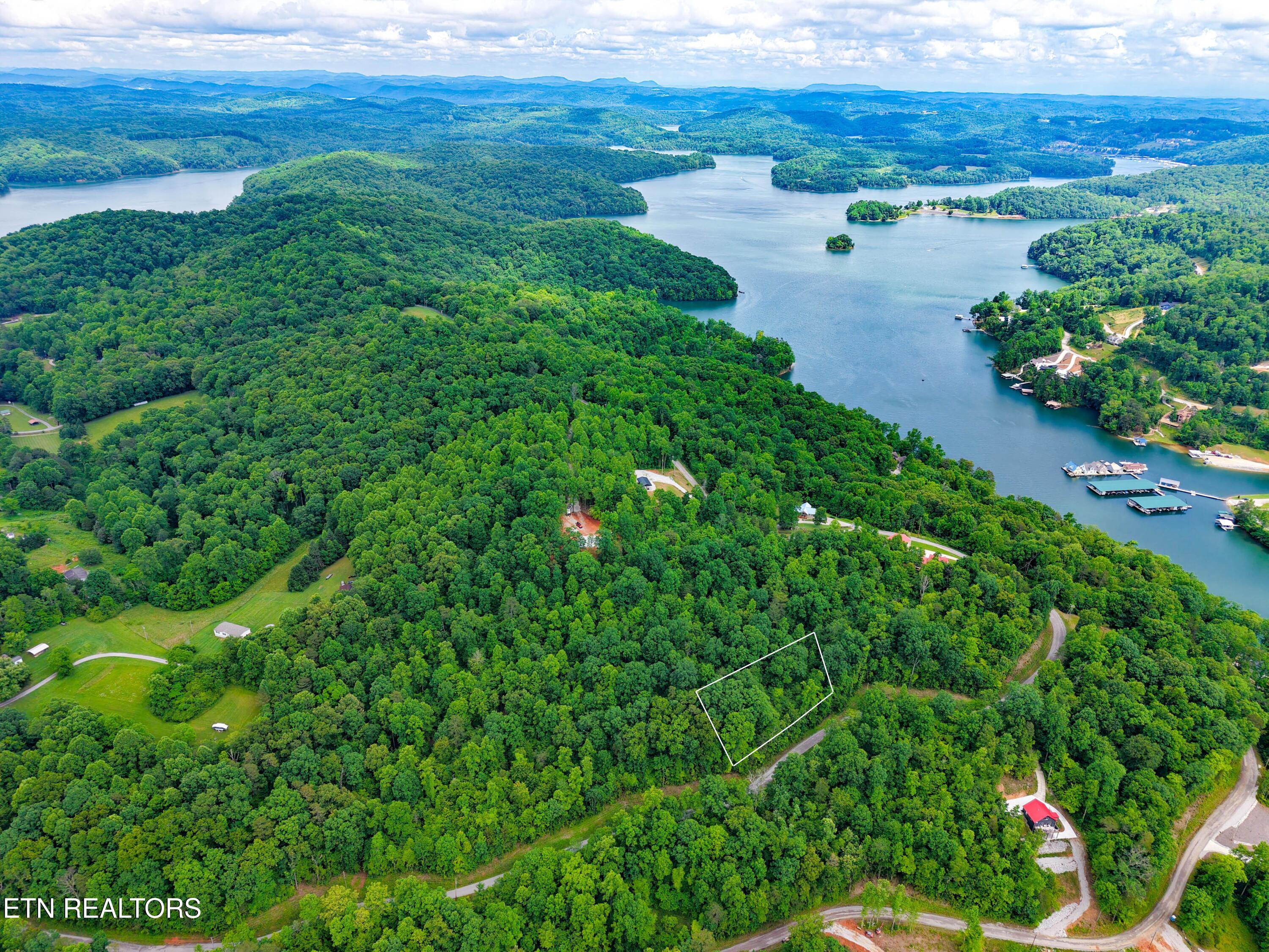 E Dogwood Trail Lafollette TN 37766