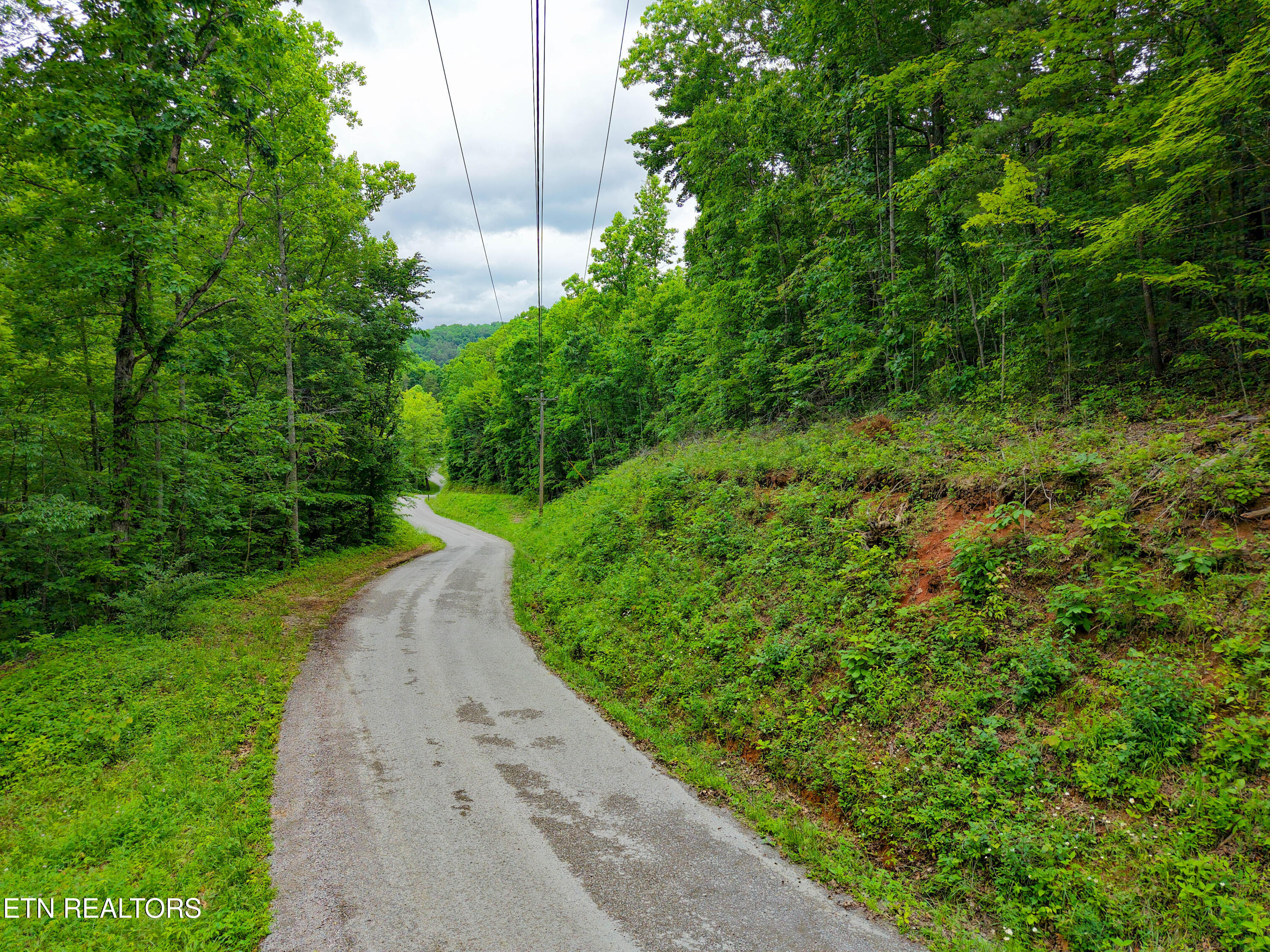 E Dogwood Trail Lafollette TN 37766