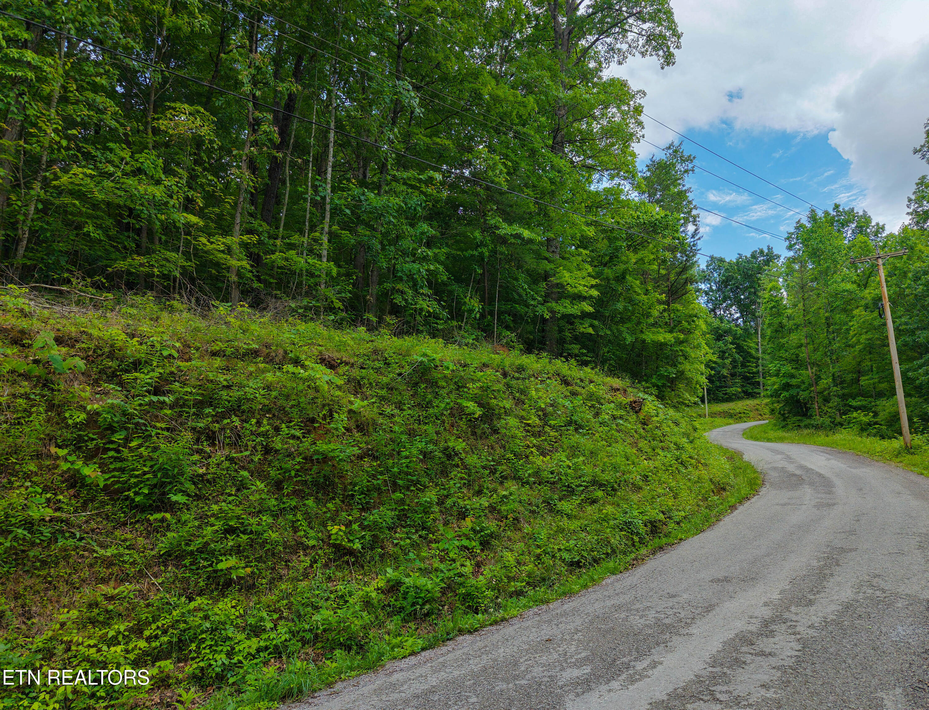 E Dogwood Trail Lafollette TN 37766