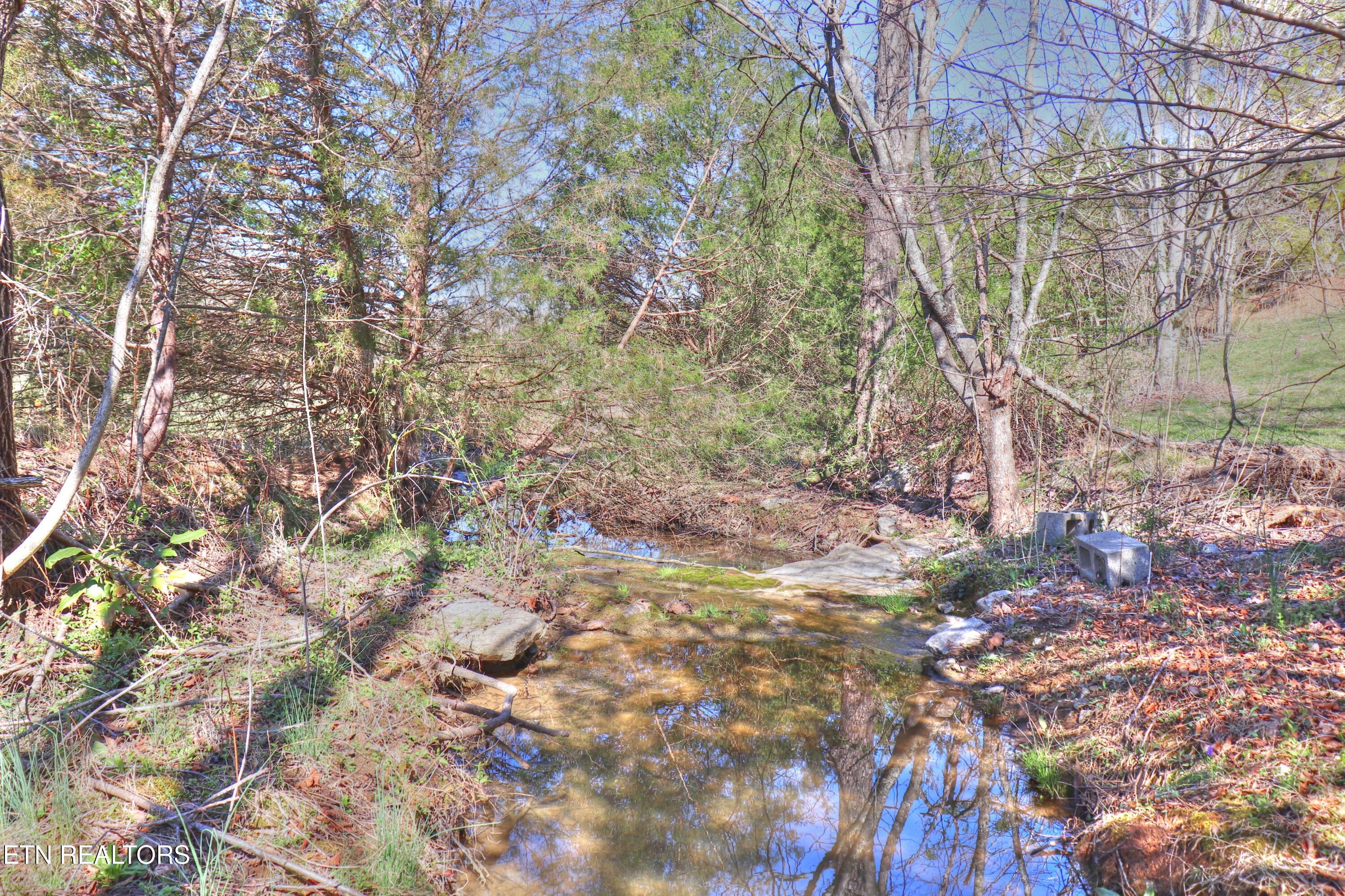 Lot 197 Captains Cove Sharps Chapel TN 37866