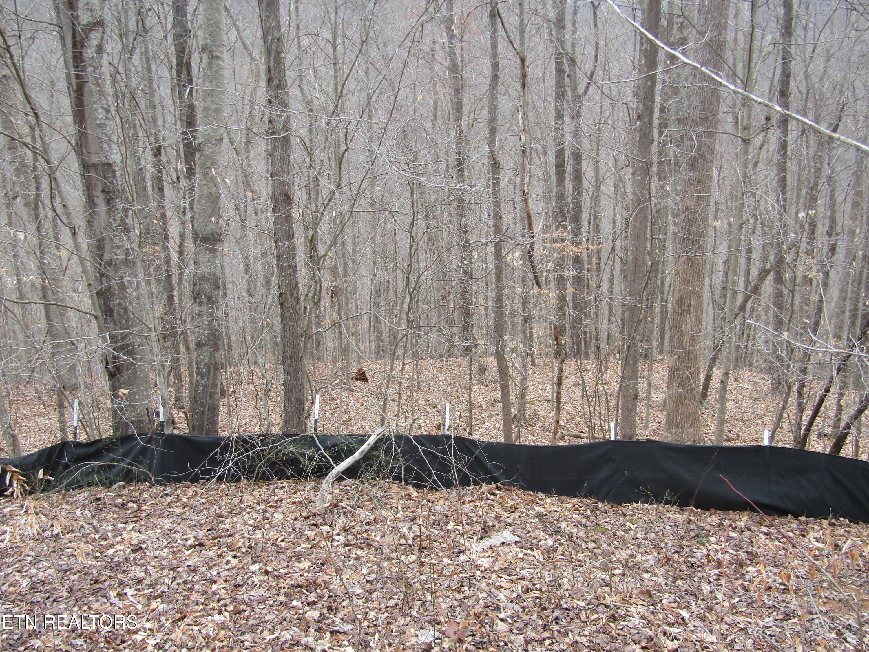 Lot 60 W Bobcat Lane Wilder TN 38589