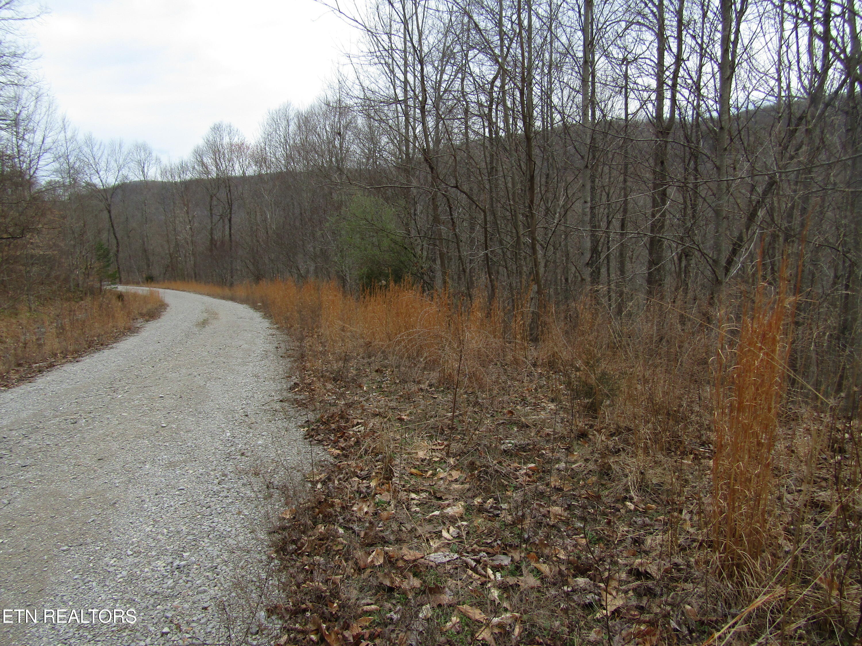 Lot 60 W Bobcat Lane Wilder TN 38589
