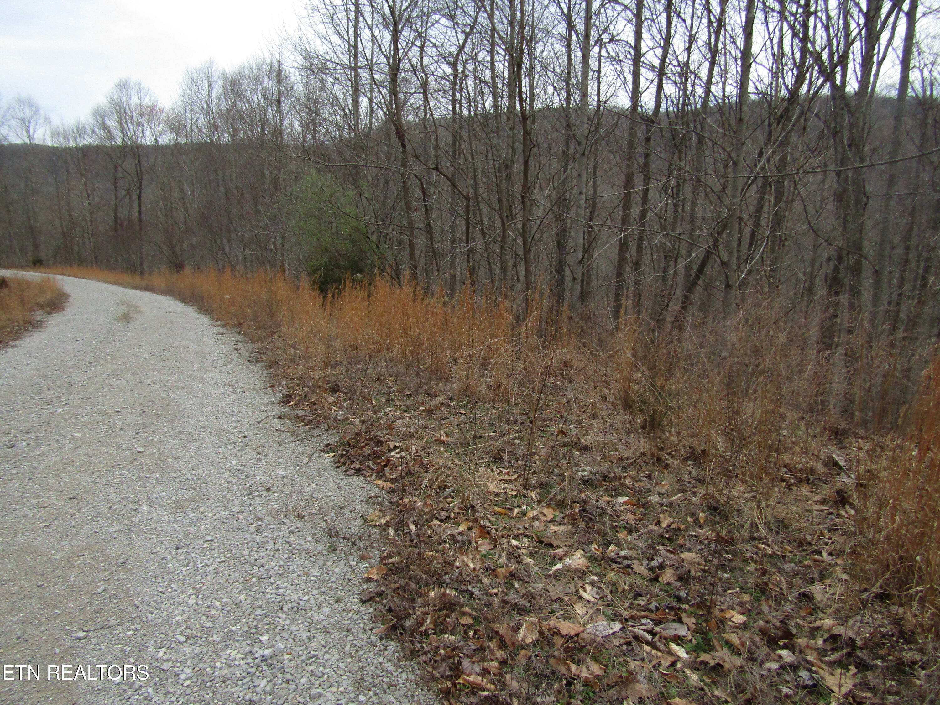 Lot 60 W Bobcat Lane Wilder TN 38589