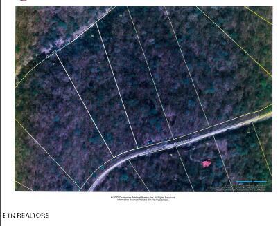 Lot 60 W Bobcat Lane Wilder TN 38589