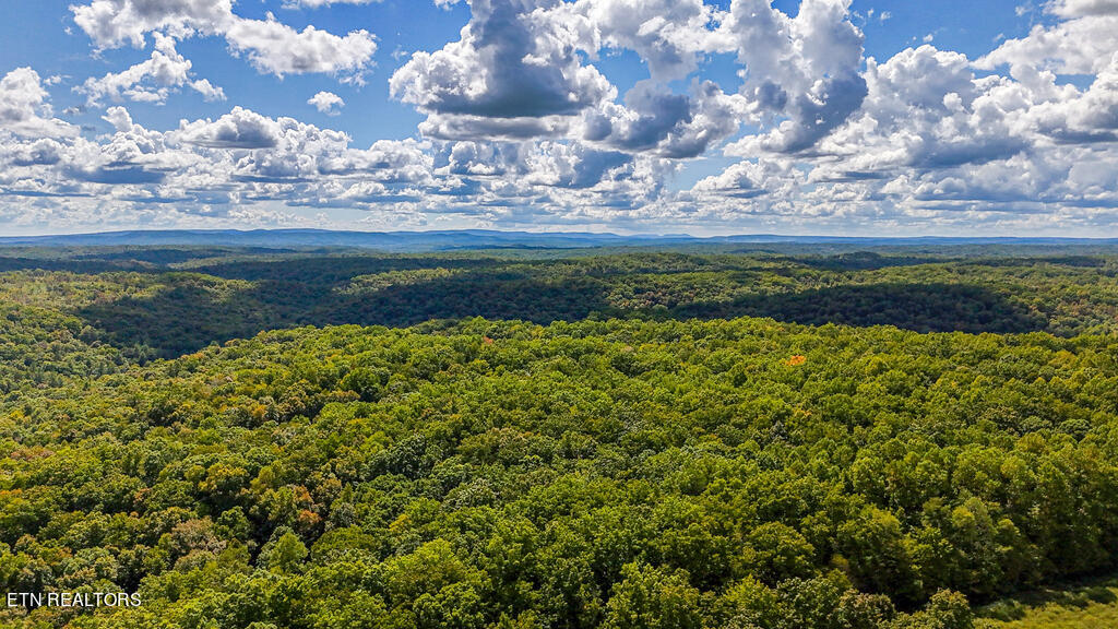 Deer Lodge Highway Deer Lodge TN 37726
