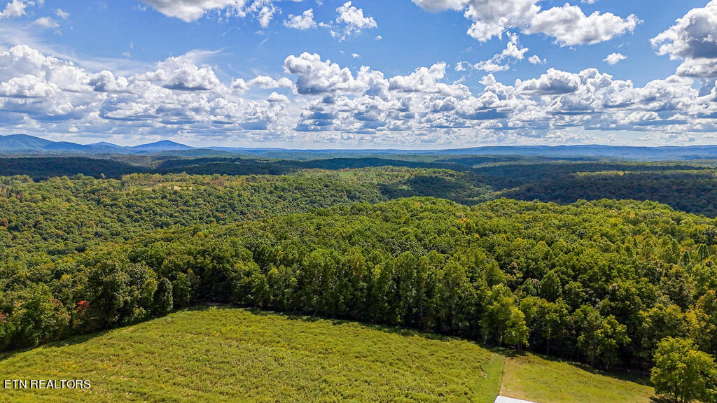 Deer Lodge Highway Deer Lodge TN 37726