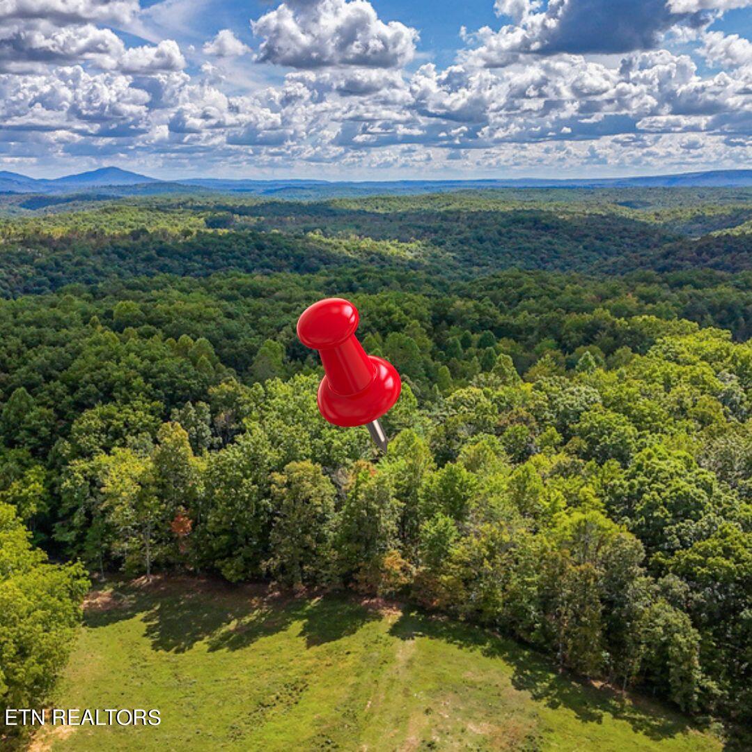 Deer Lodge Highway Deer Lodge TN 37726
