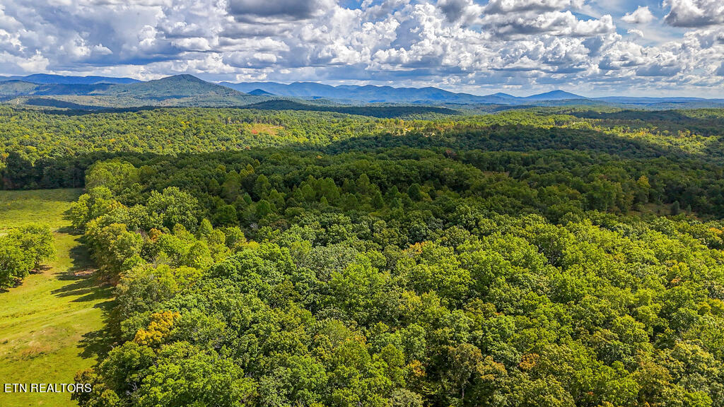 Deer Lodge Highway Deer Lodge TN 37726