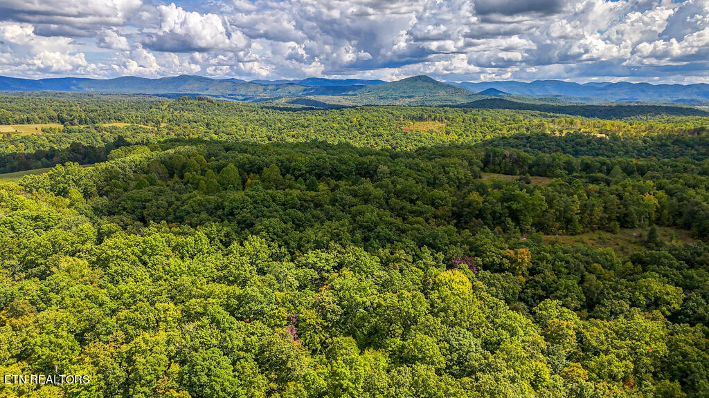 Deer Lodge Highway Deer Lodge TN 37726