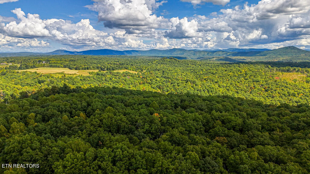Deer Lodge Highway Deer Lodge TN 37726
