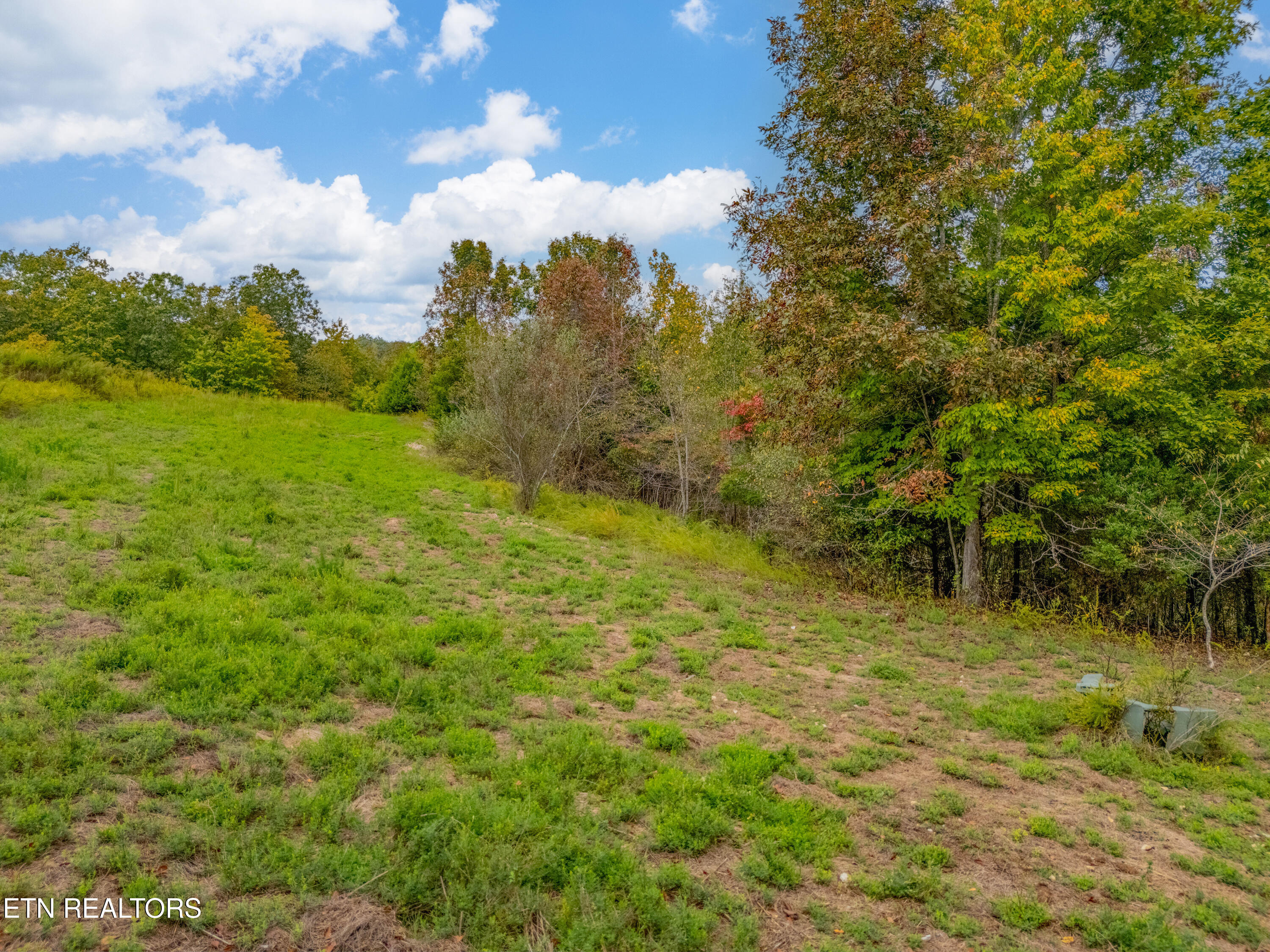 Emerald Pointe Circle Rockwood TN 37854