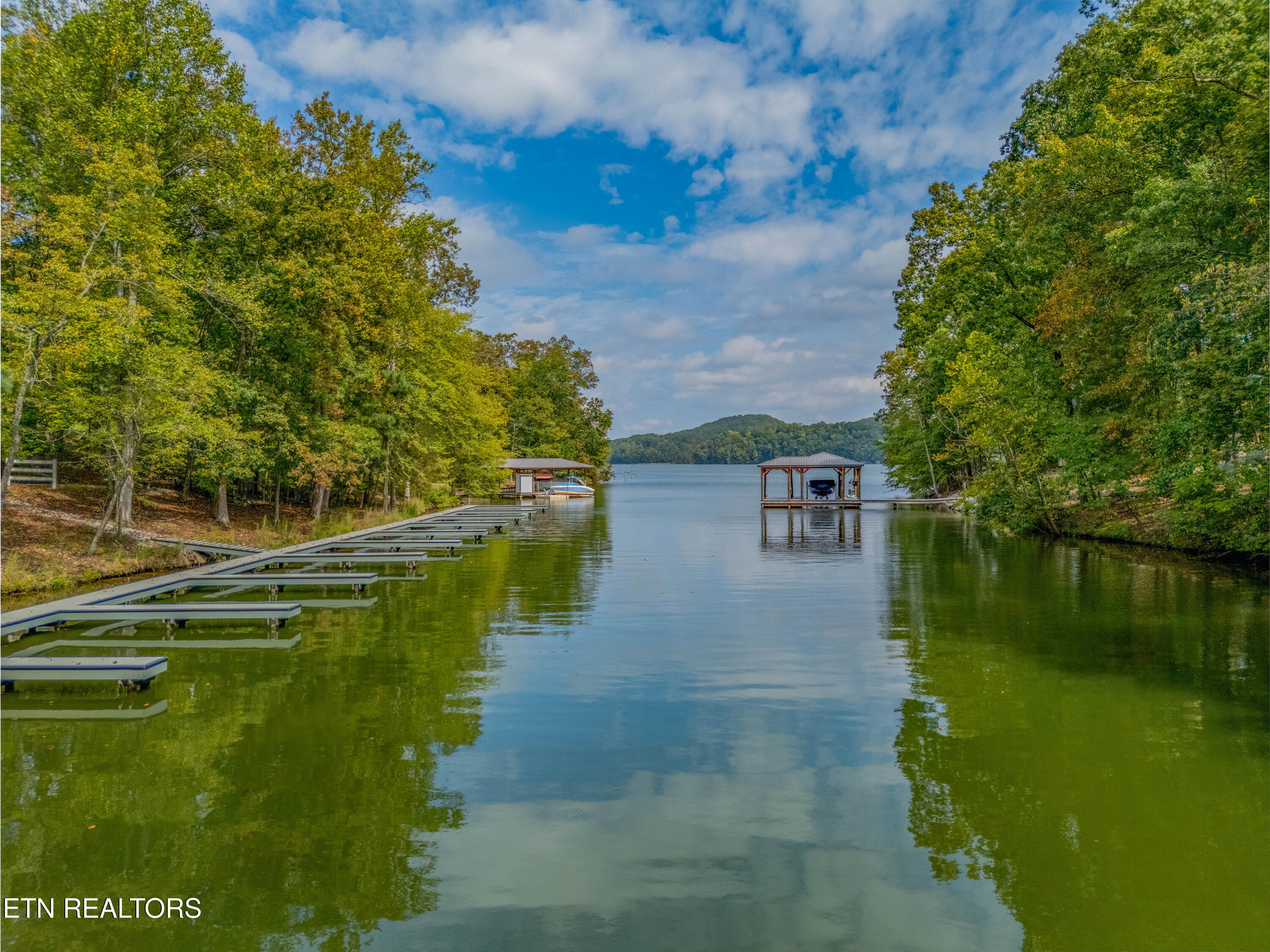 Emerald Pointe Circle Rockwood TN 37854