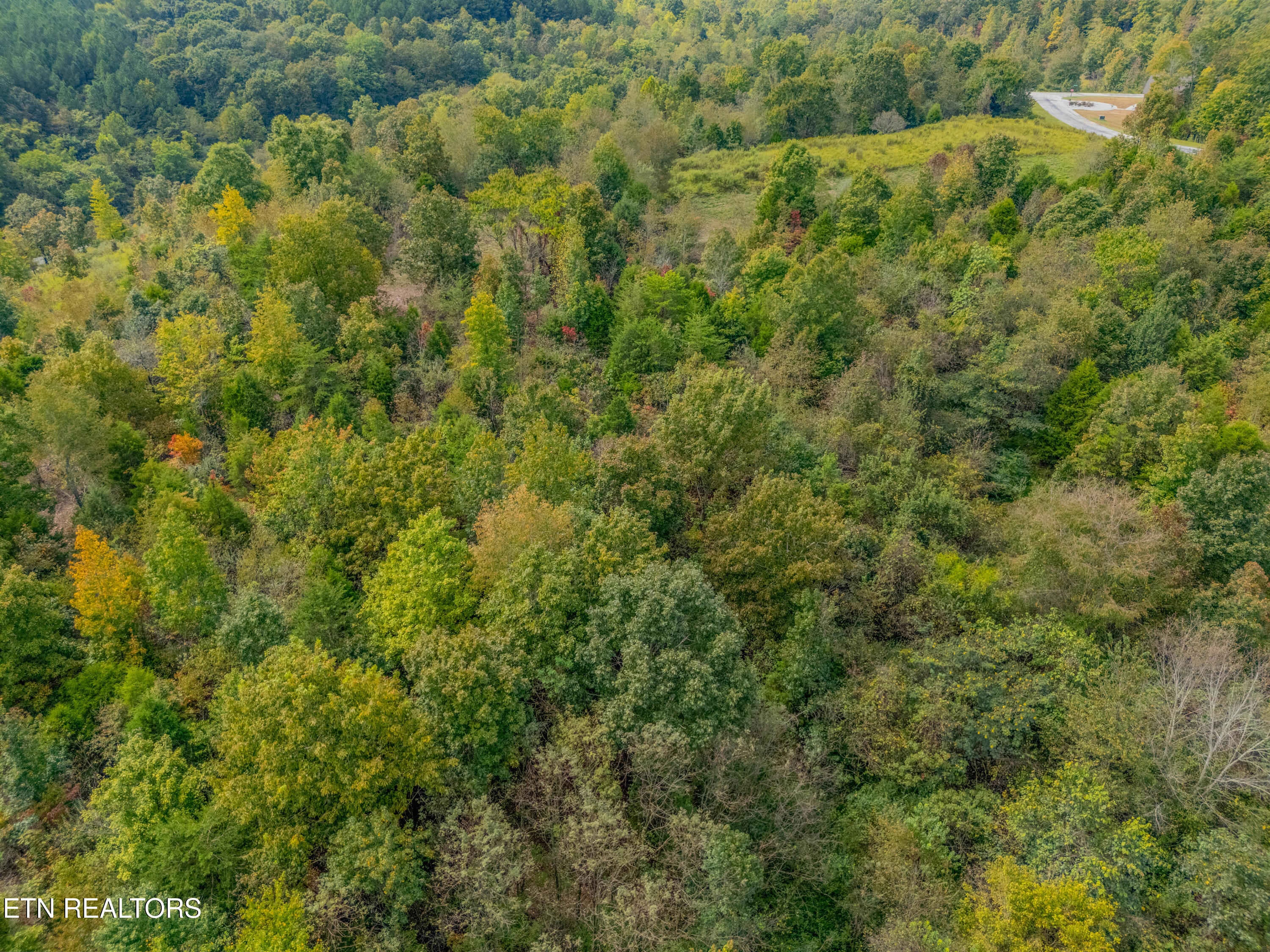 Emerald Pointe Circle Rockwood TN 37854