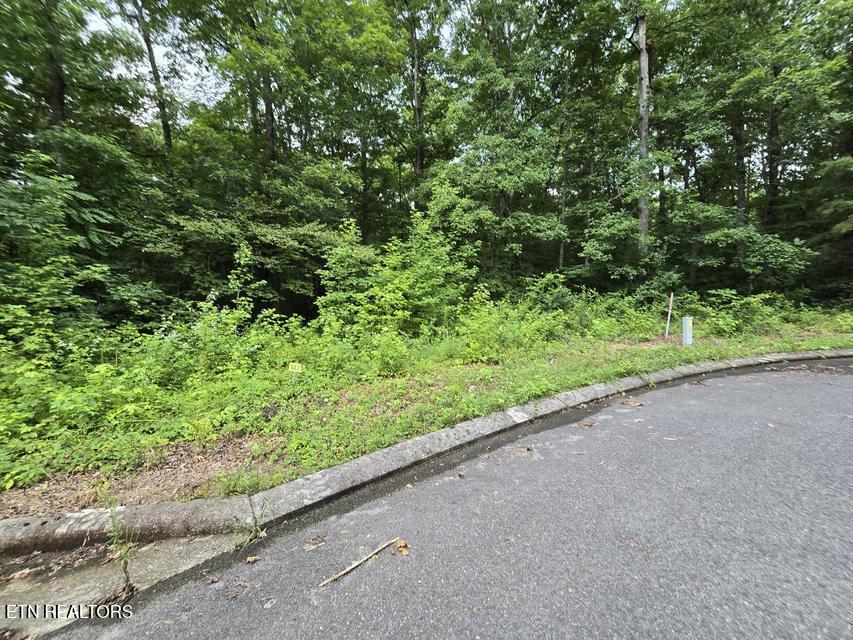 Lot 142 Lower Brow Road Dunlap TN 37327