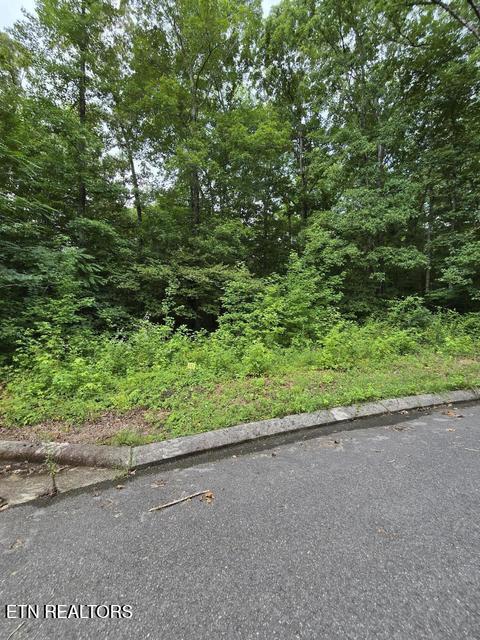 Lot 142 Lower Brow Road Dunlap TN 37327