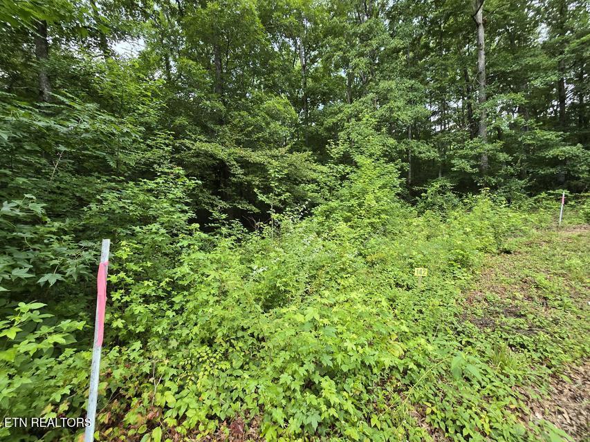 Lot 142 Lower Brow Road Dunlap TN 37327