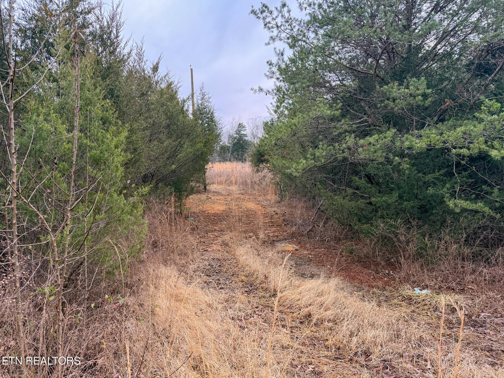00 County Road 334 Niota TN 37826