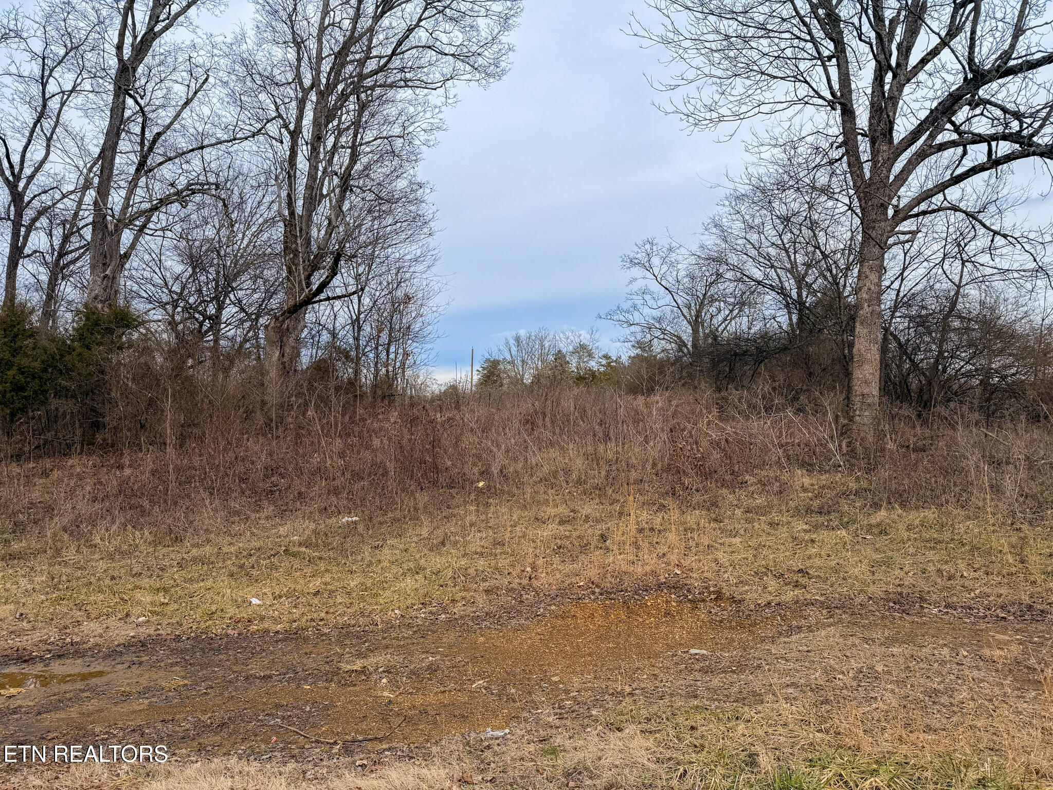 00 County Road 334 Niota TN 37826