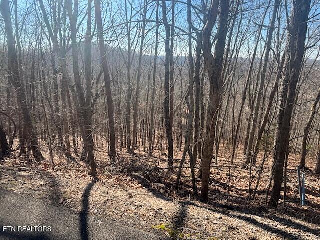 Lot 207 Laurel Mountain Road Madisonville TN 37354