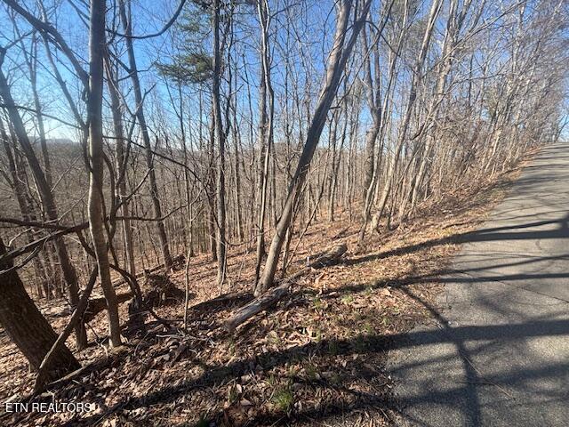 Lot 207 Laurel Mountain Road Madisonville TN 37354