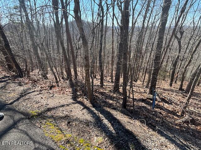 Lot 207 Laurel Mountain Road Madisonville TN 37354
