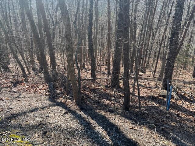 Lot 207 Laurel Mountain Road Madisonville TN 37354
