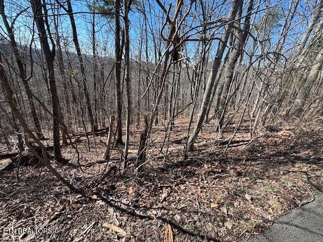Lot 207 Laurel Mountain Road Madisonville TN 37354