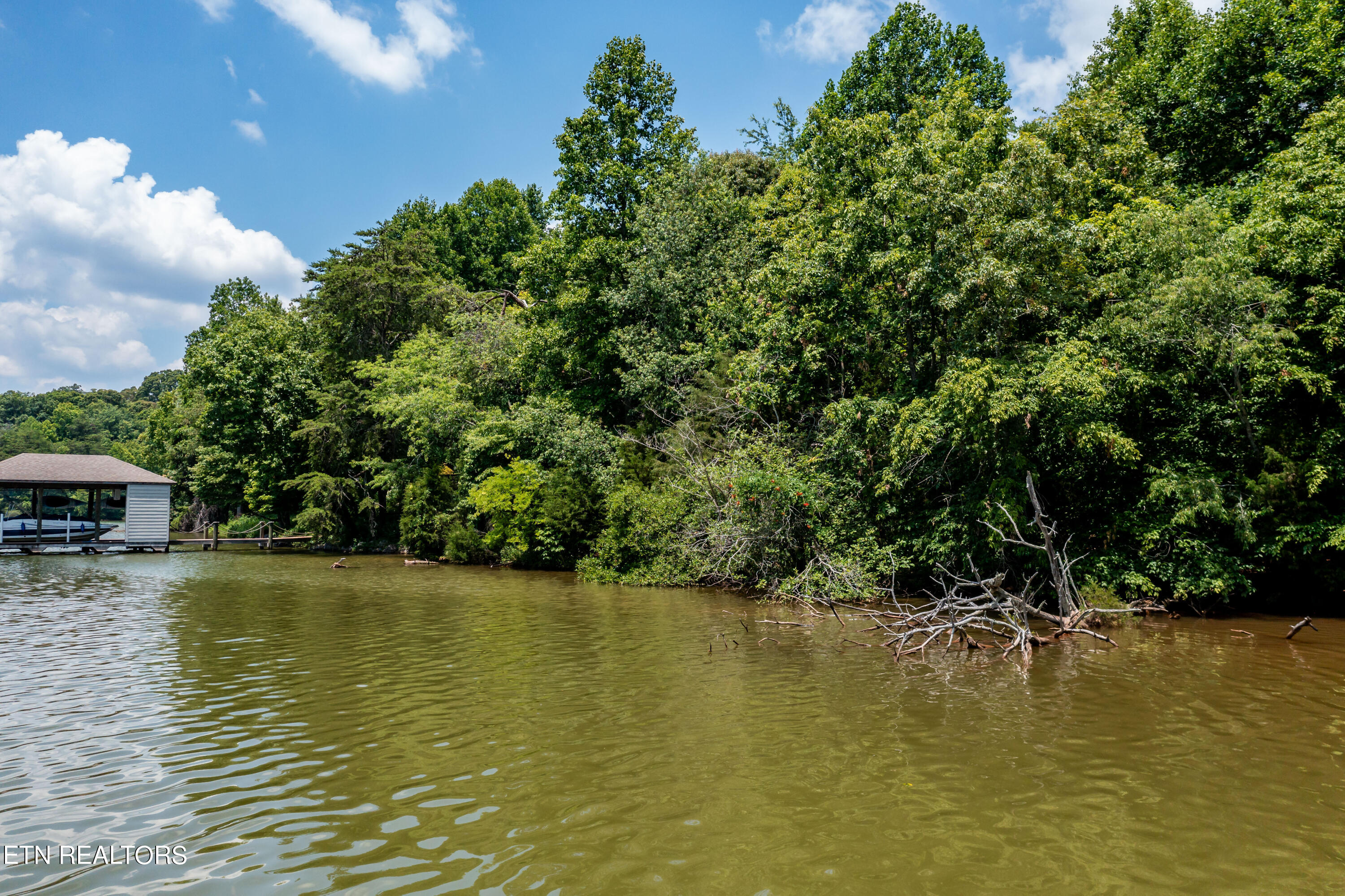 430 Marsh Hawk Drive Vonore TN 37885