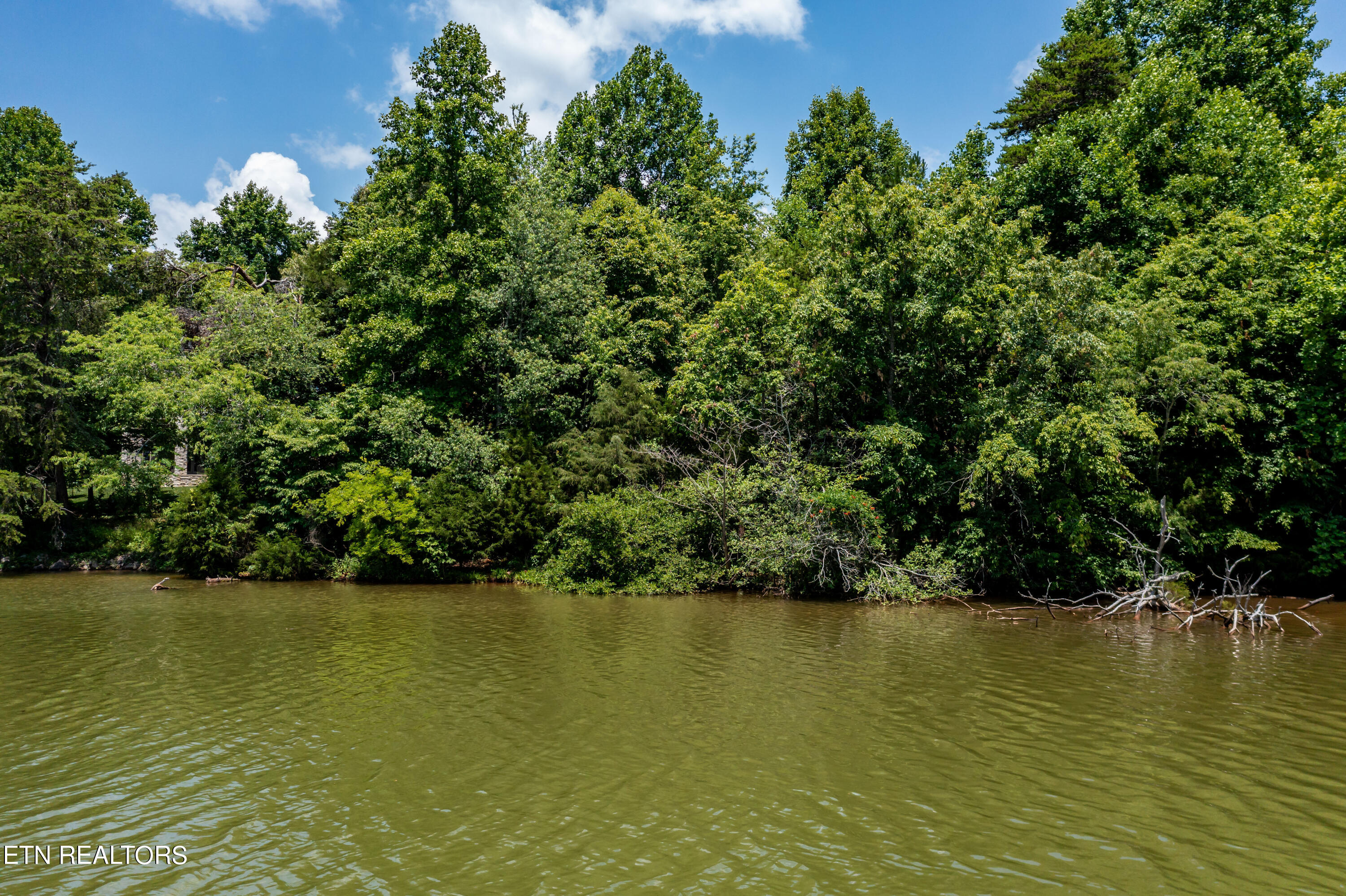 430 Marsh Hawk Drive Vonore TN 37885