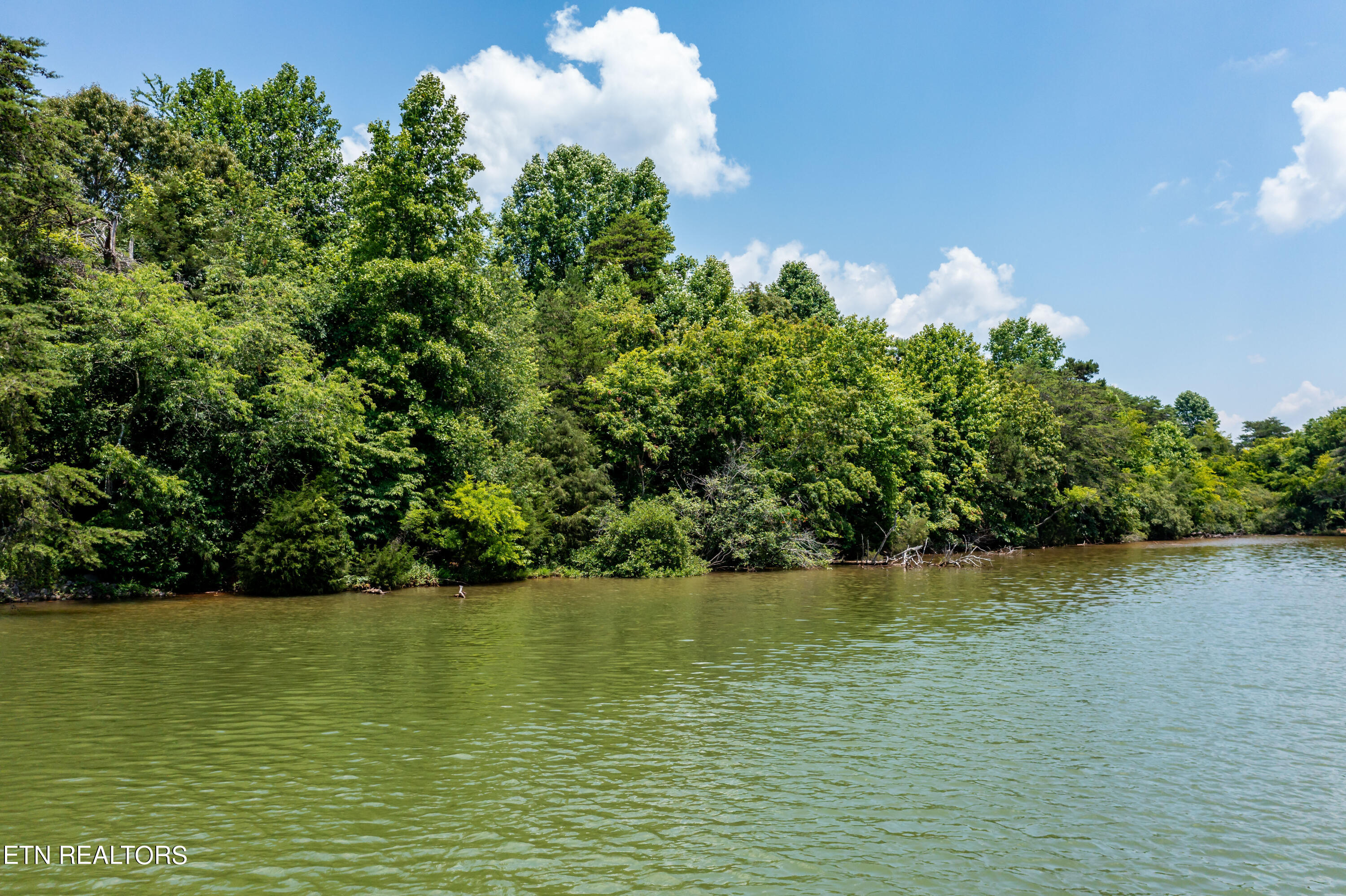 430 Marsh Hawk Drive Vonore TN 37885