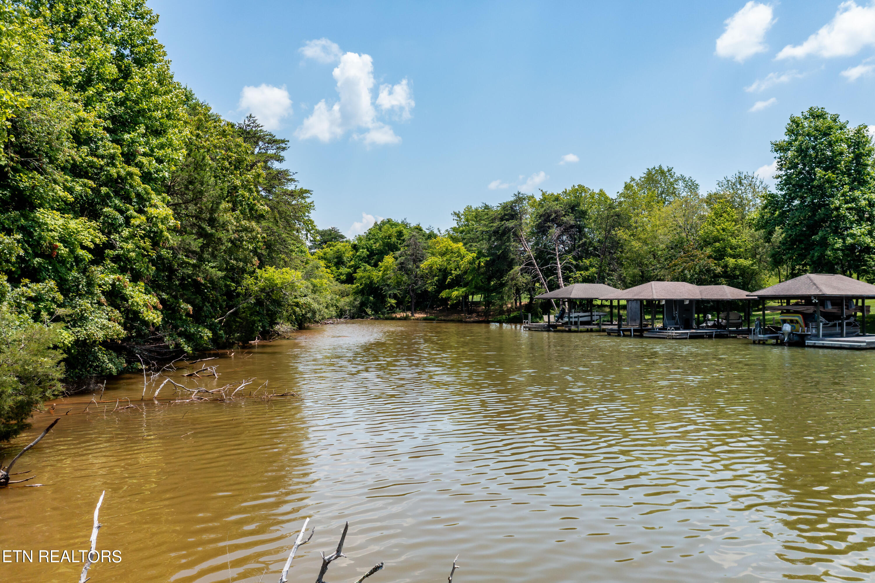 430 Marsh Hawk Drive Vonore TN 37885
