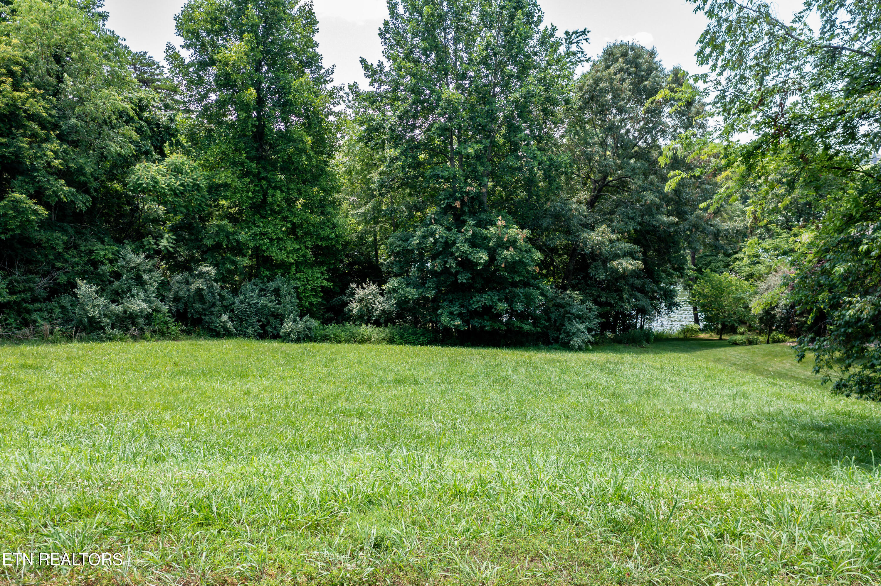 430 Marsh Hawk Drive Vonore TN 37885