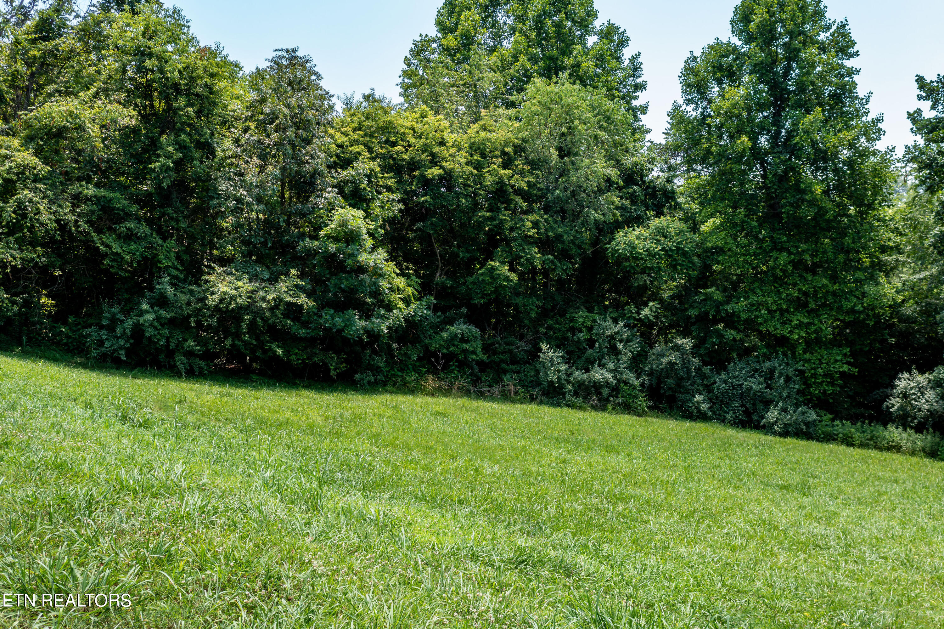 430 Marsh Hawk Drive Vonore TN 37885